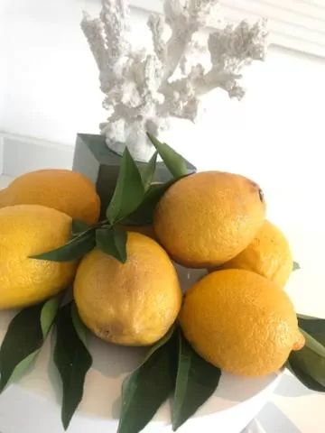 Food and drinks in S'O Suites Tropea