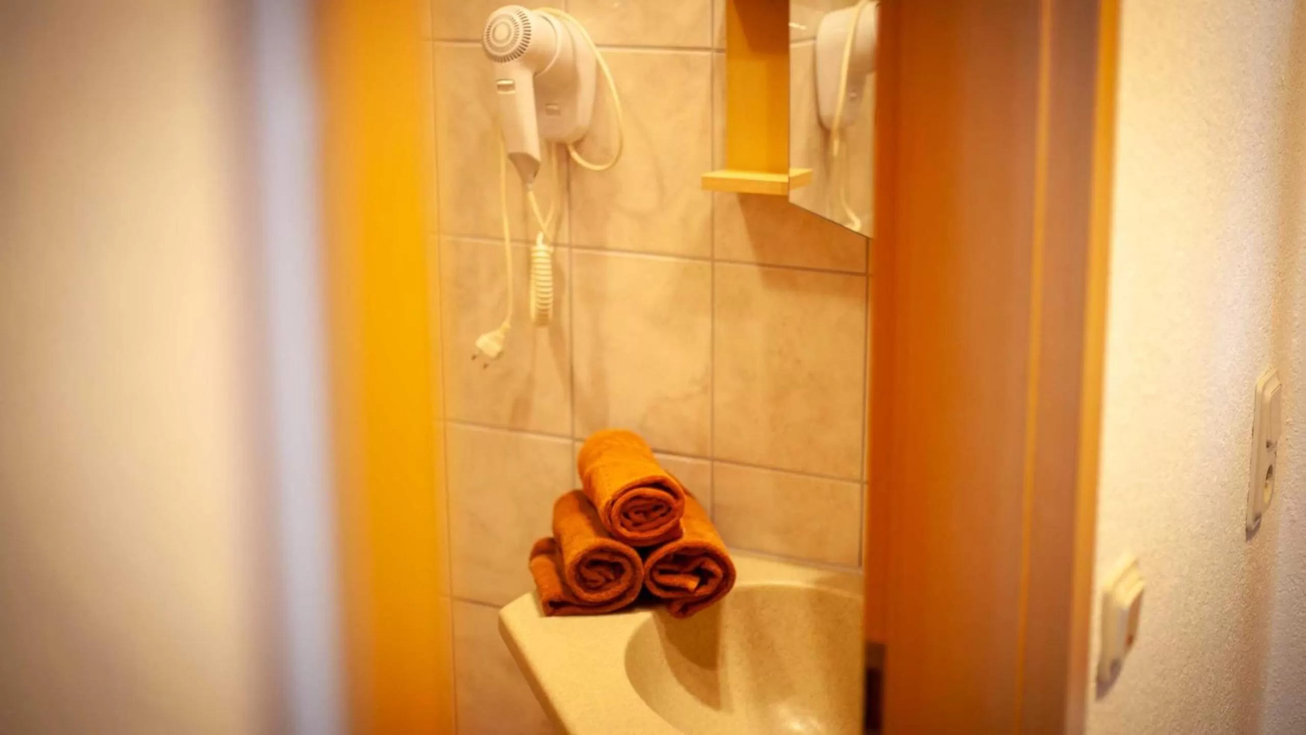 Toilet in Hotel Zum Hirsch