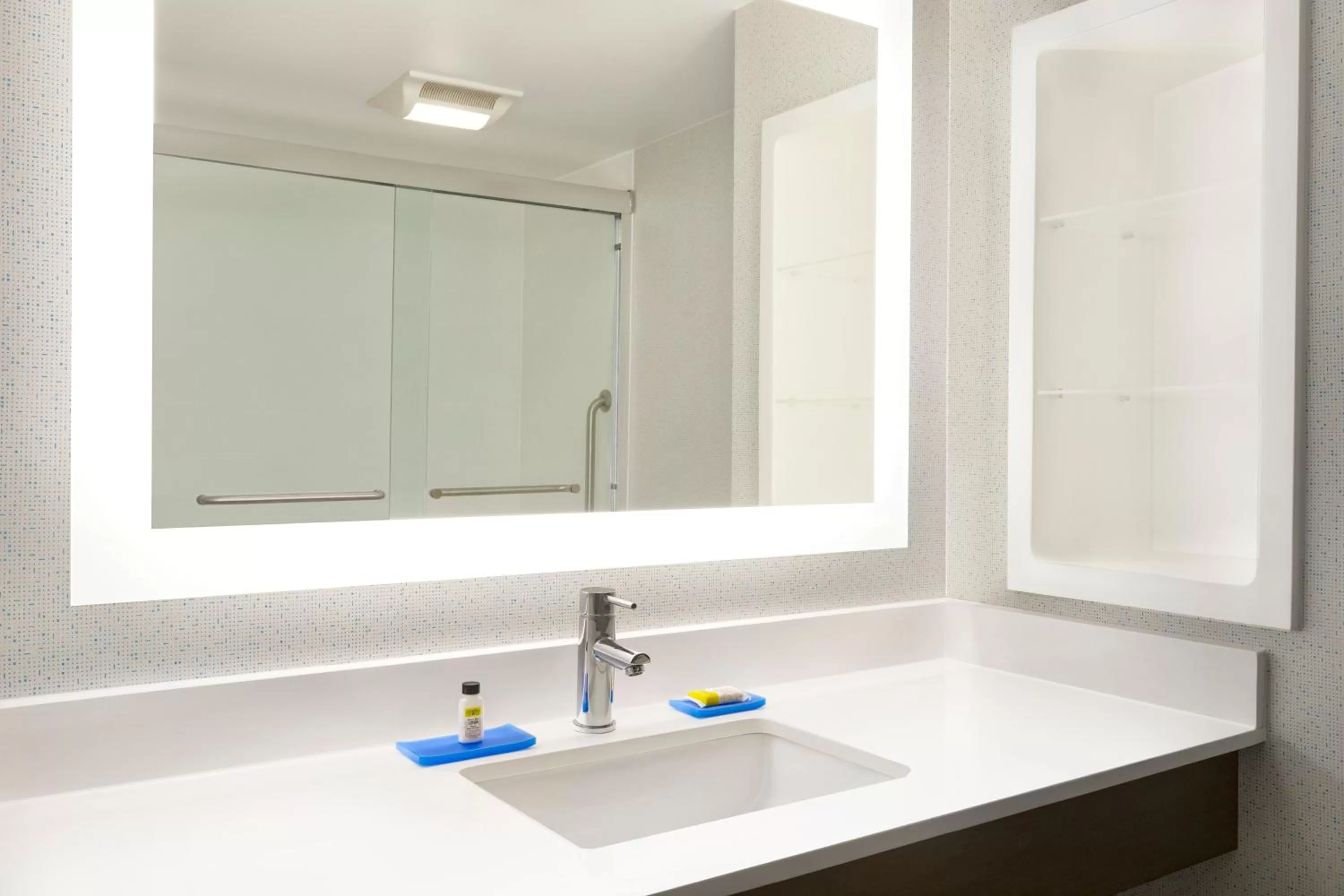 Bathroom in Holiday Inn Express Hotel & Suites Fort Myers East - The Forum by IHG