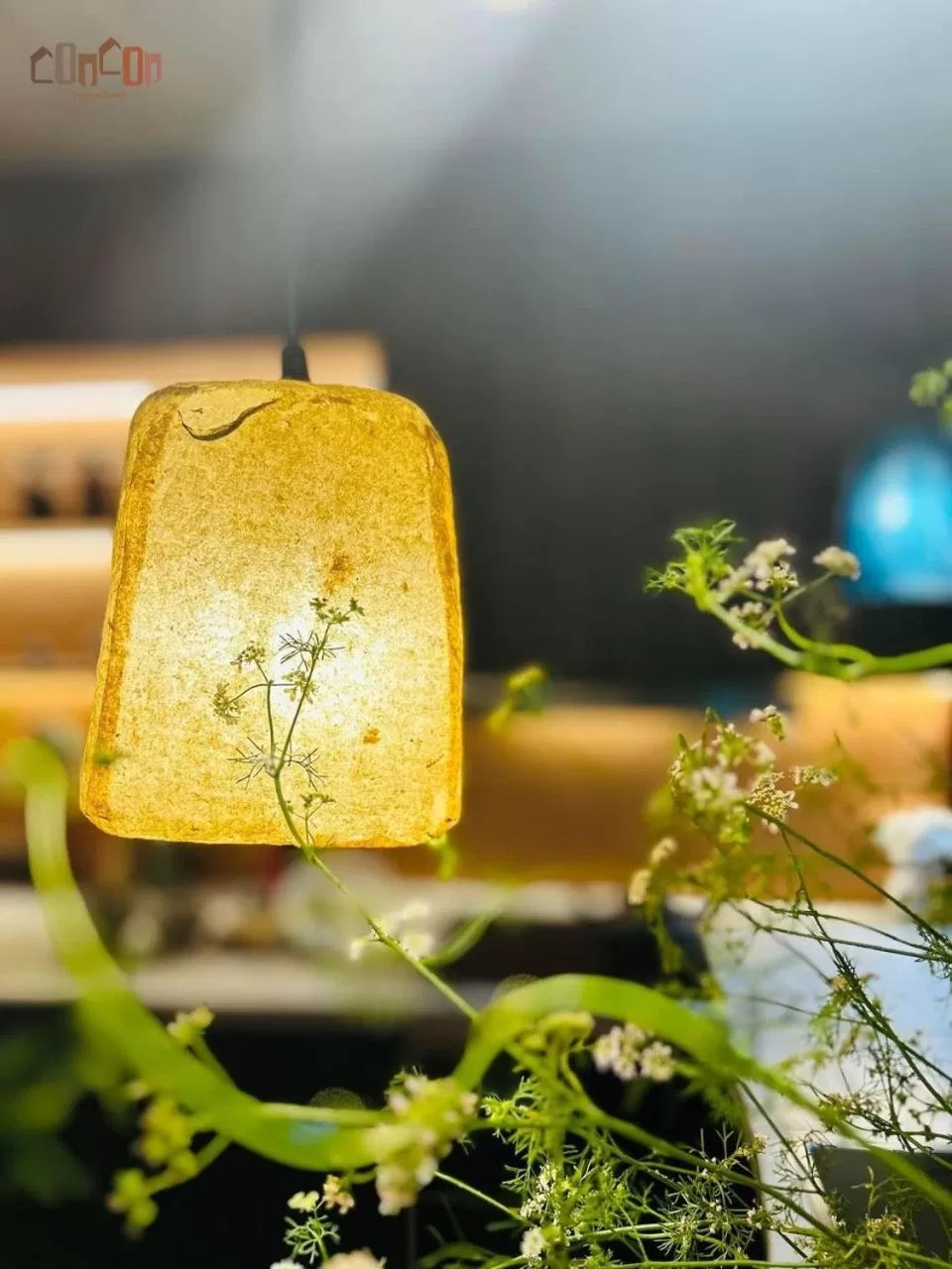 hair dresser in Concon house