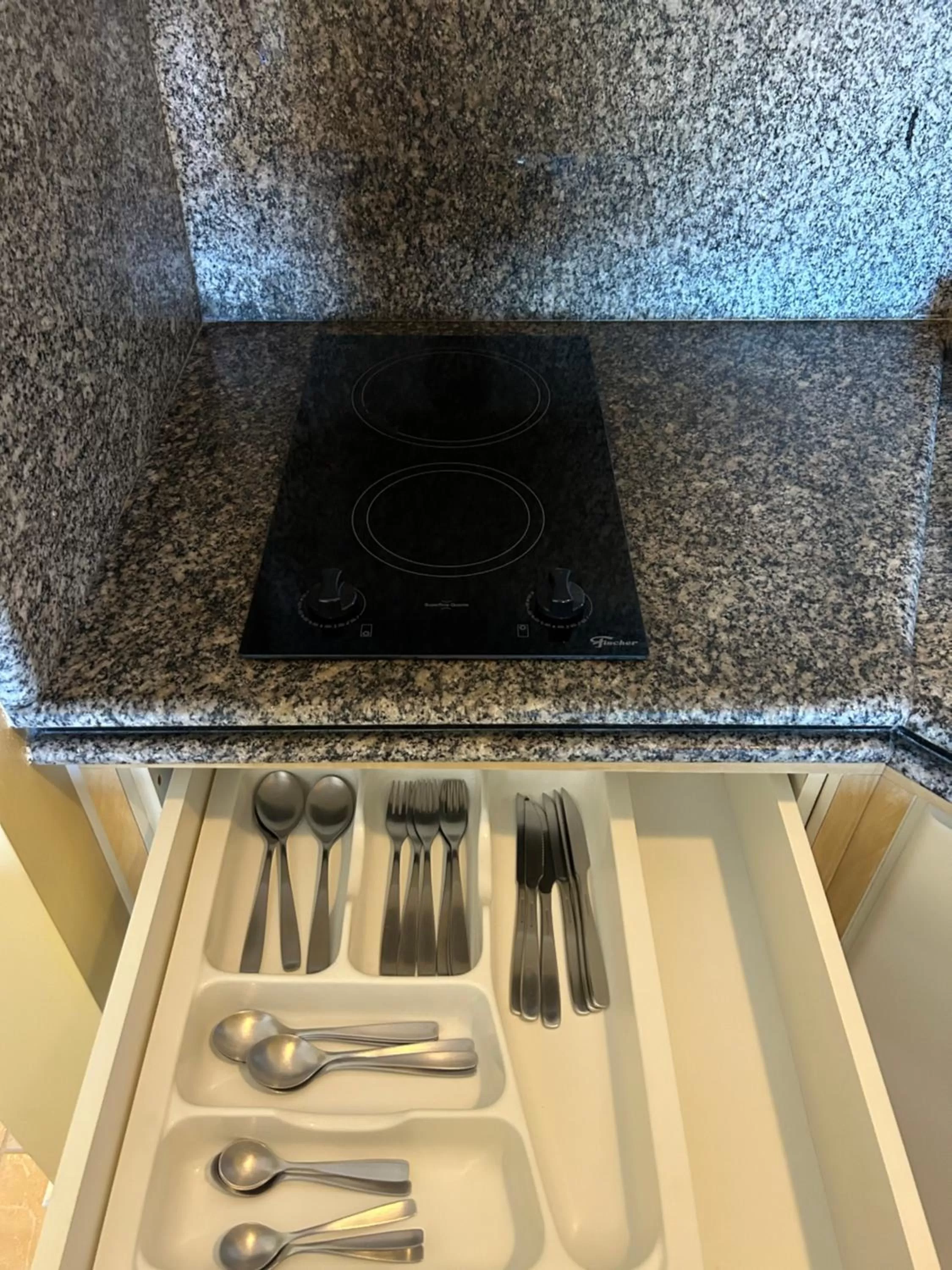 Kitchen or kitchenette in Golfinhos Apart Hotel