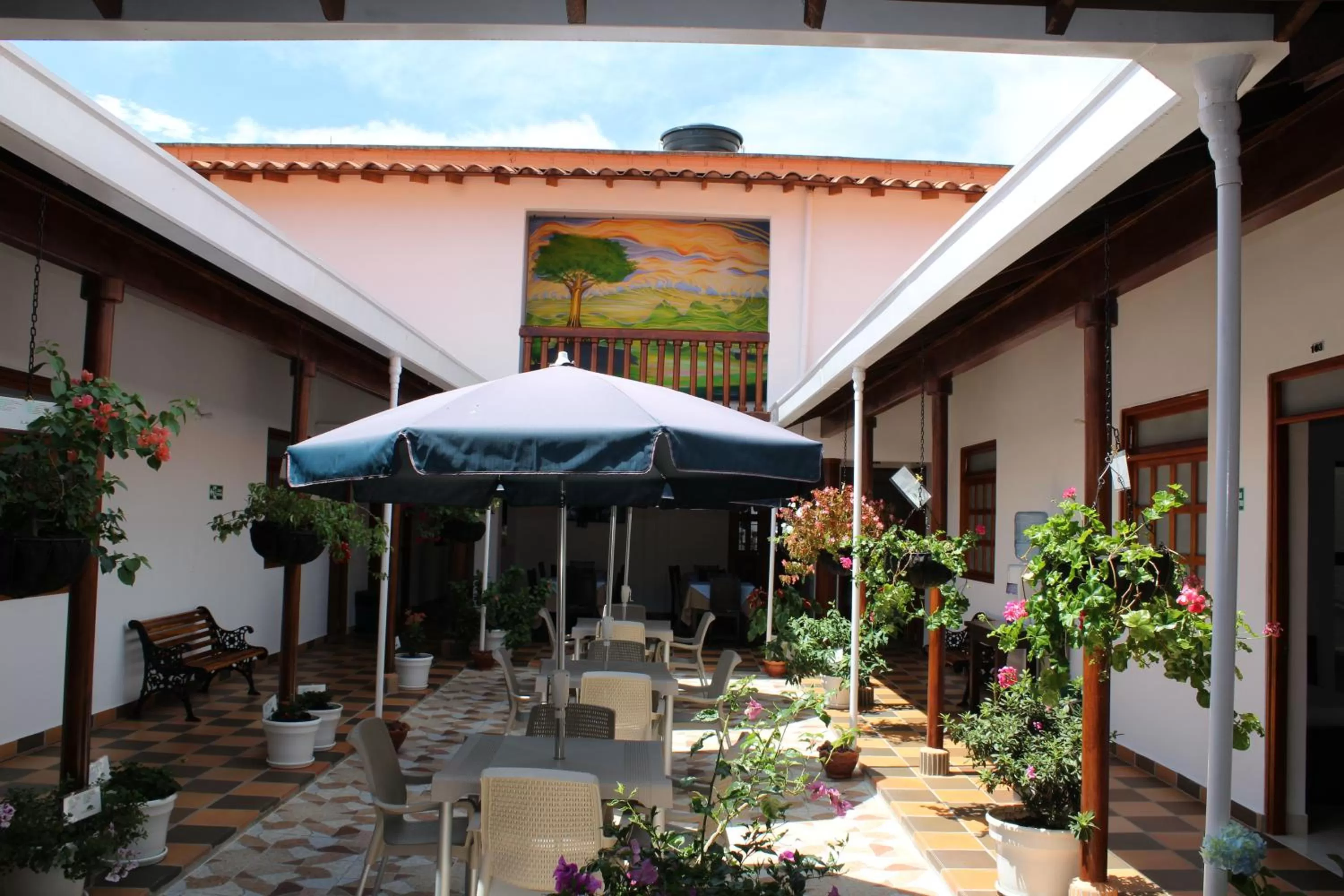 Garden in Hotel La Ceiba