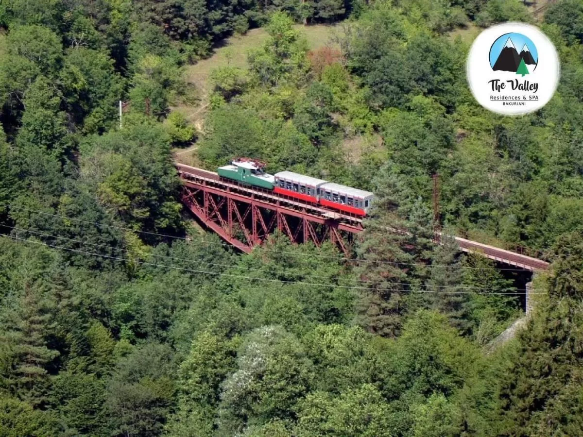 Bird's-eye View in Bakuriani the Valley 115 - 202