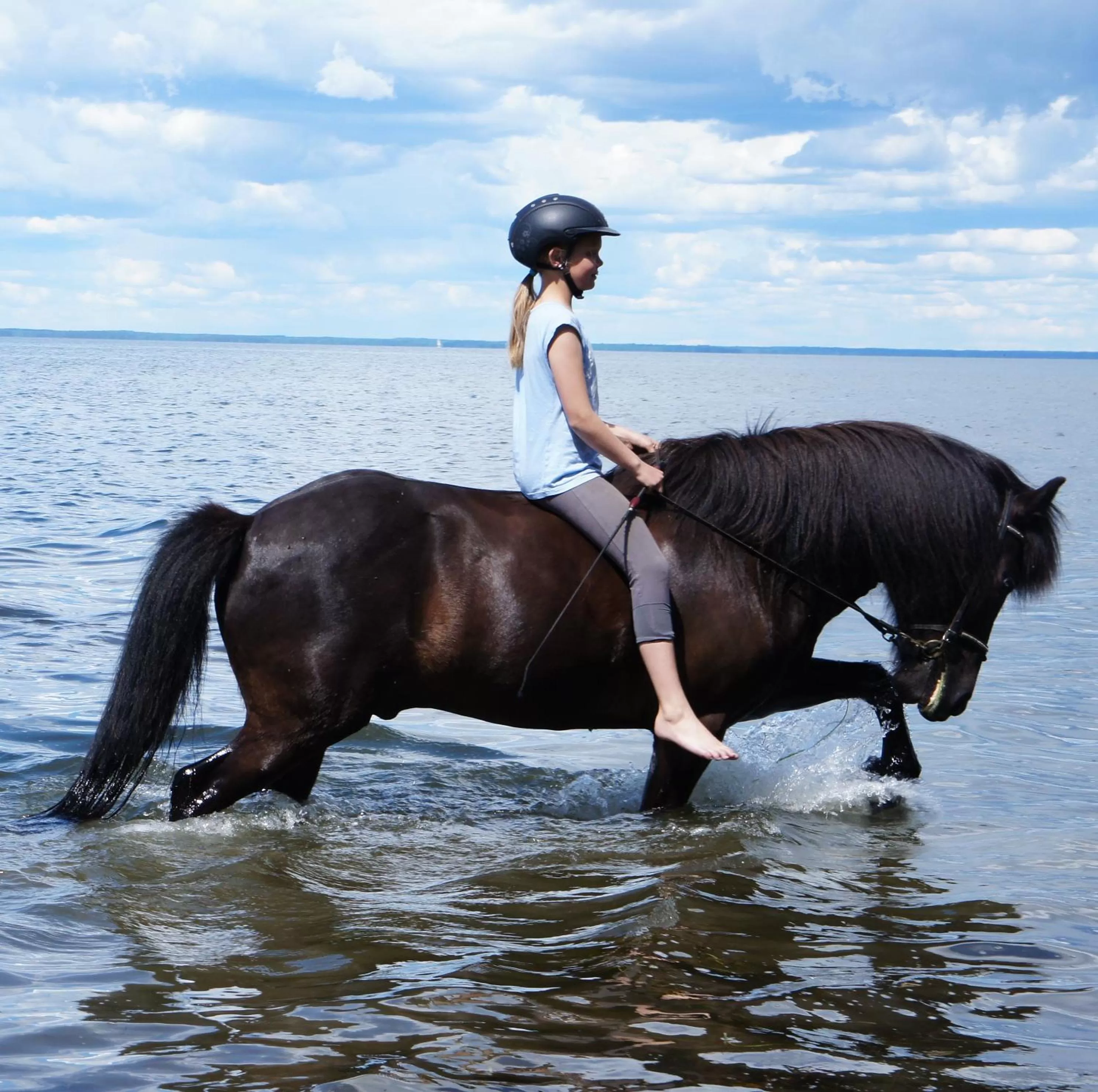 Horse-riding in Ölands Yoga Studio & Islandshästar, Stugor & Rum