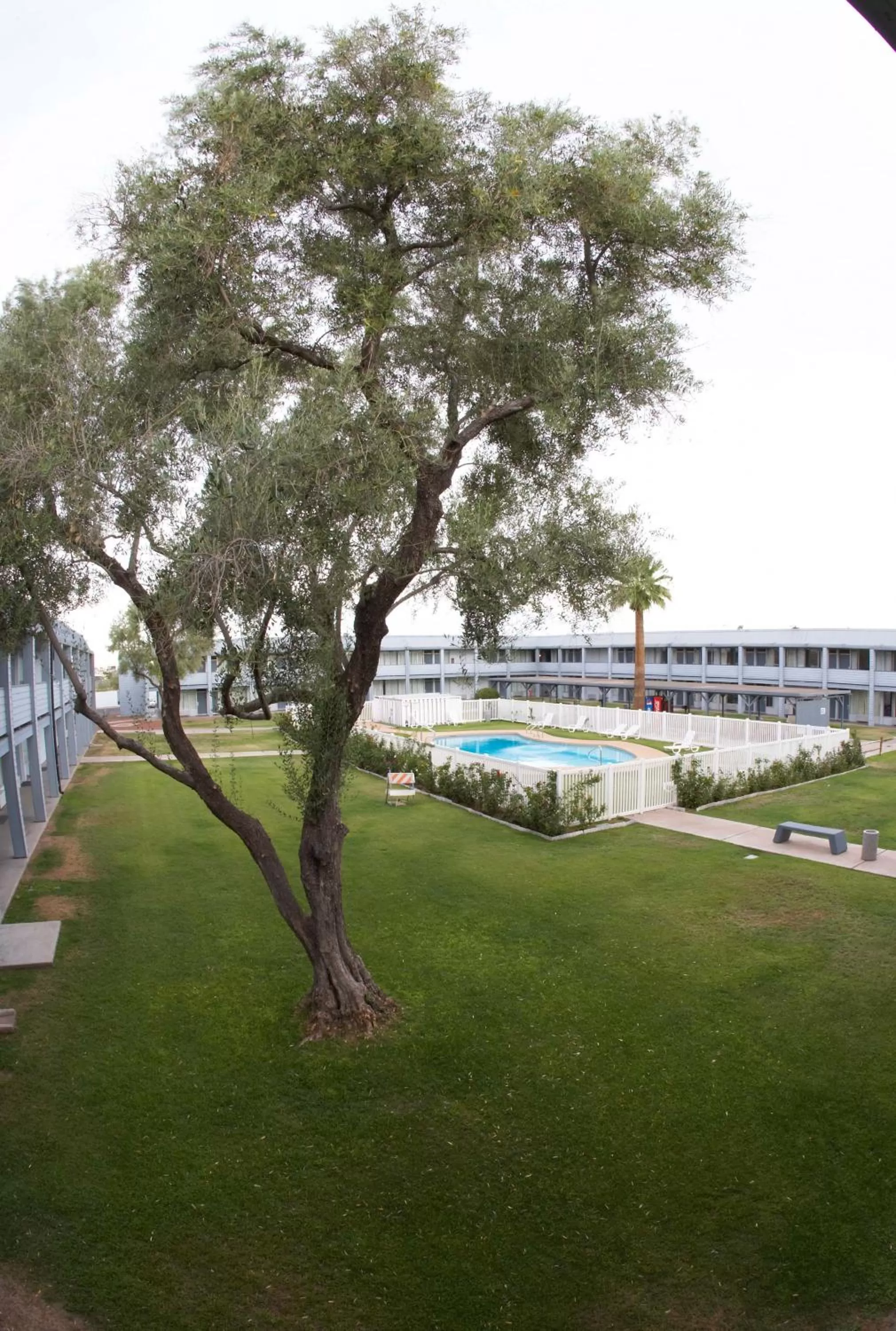 Swimming pool in EZ 8 Motel Airporter