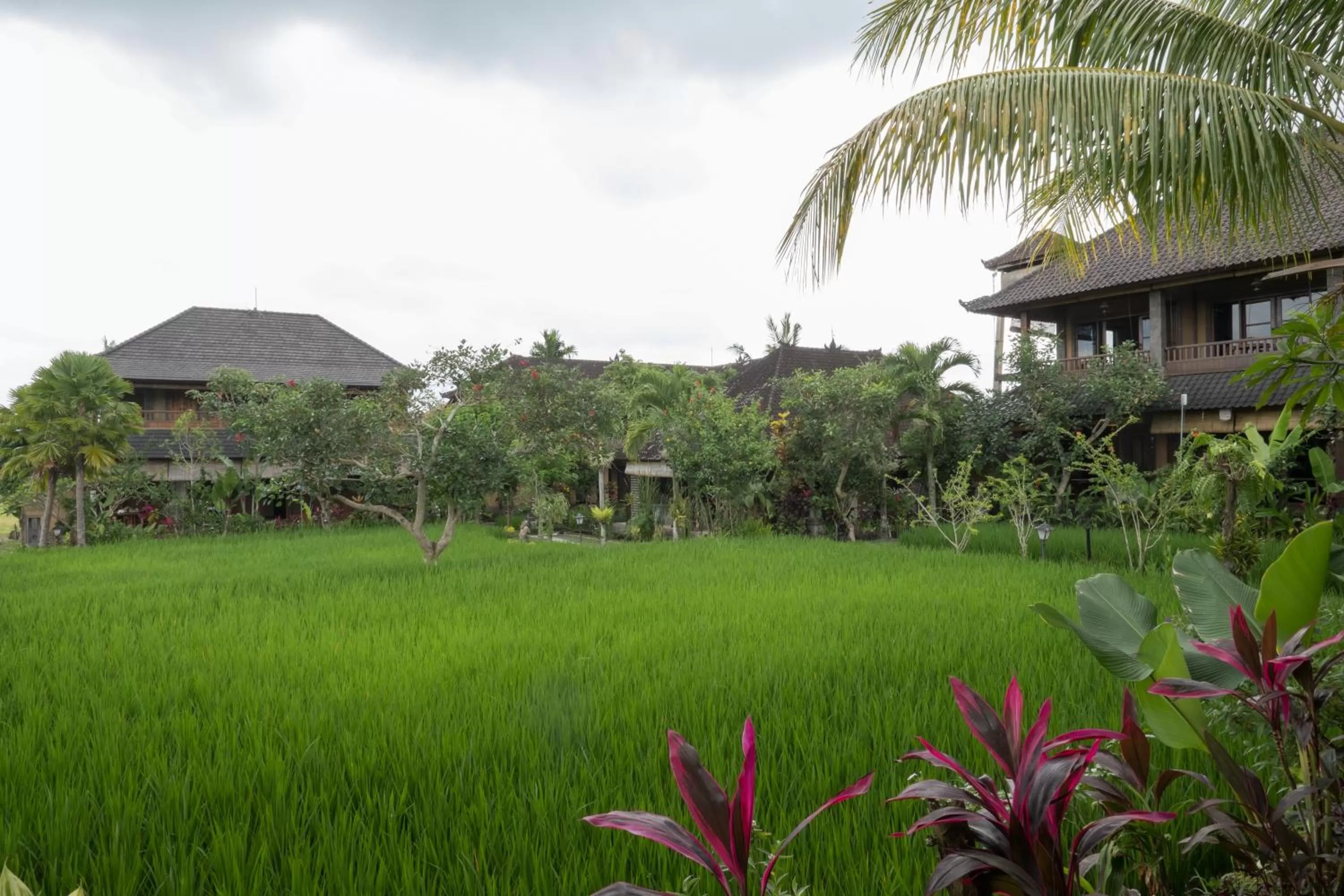 Garden in Bliss Ubud Spa Resort