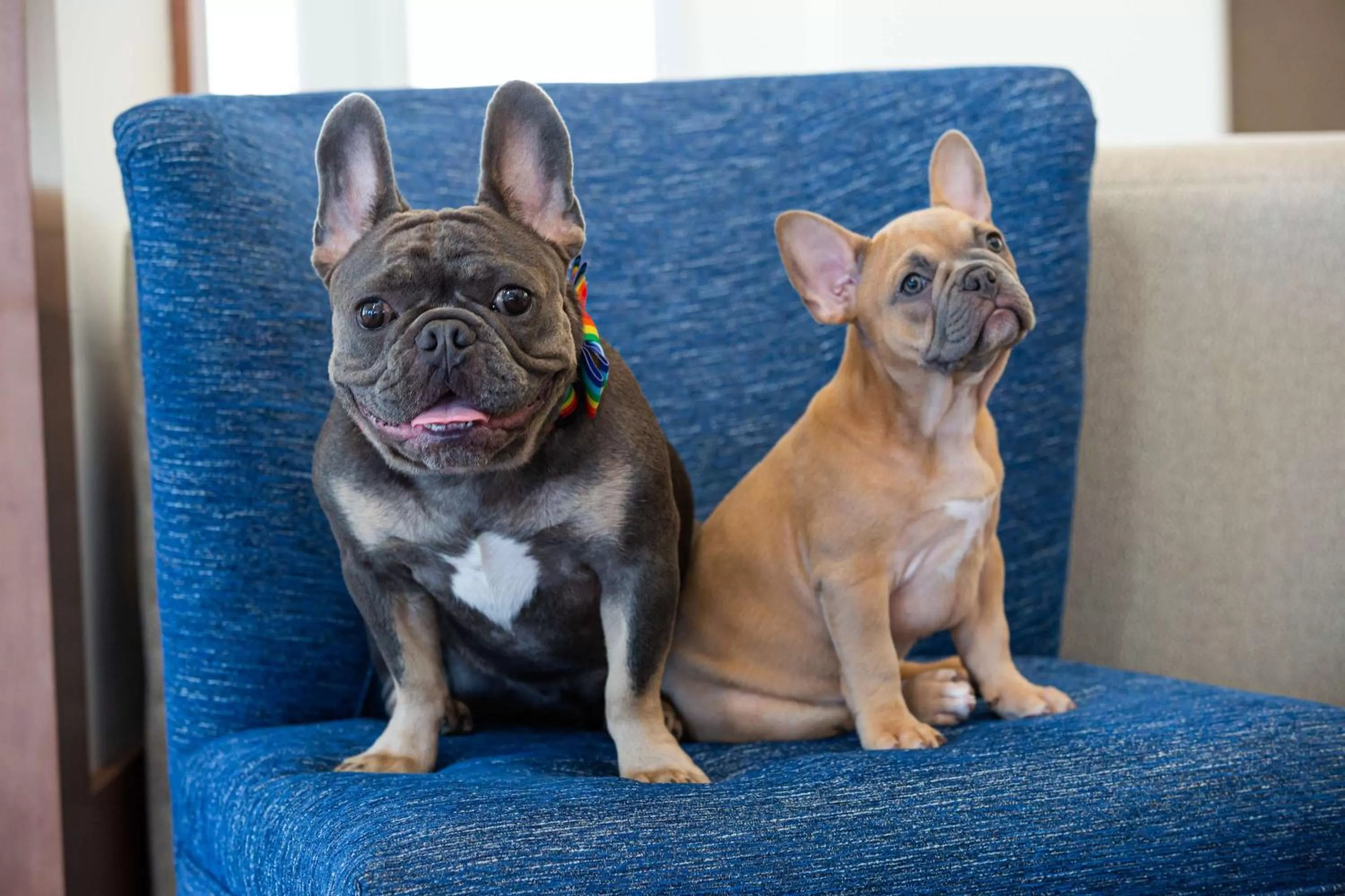 Photo of the whole room in Hilton Garden Inn - Salt Lake City Airport