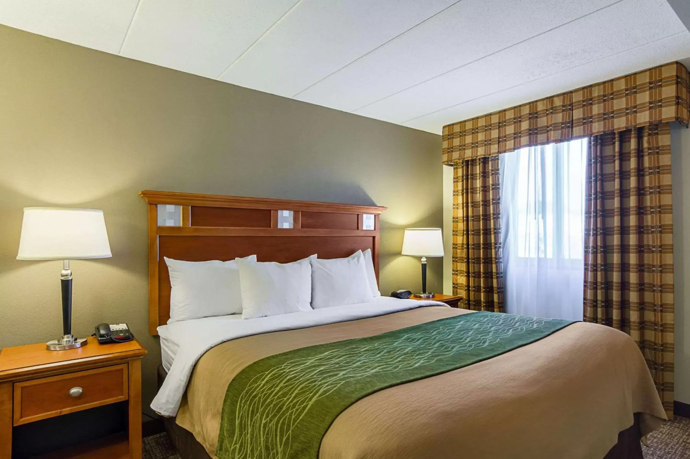 King Suite - Non-Smoking in Comfort Inn Herndon-Reston King Suite - Non-Smoking in Comfort Inn Herndon-Reston