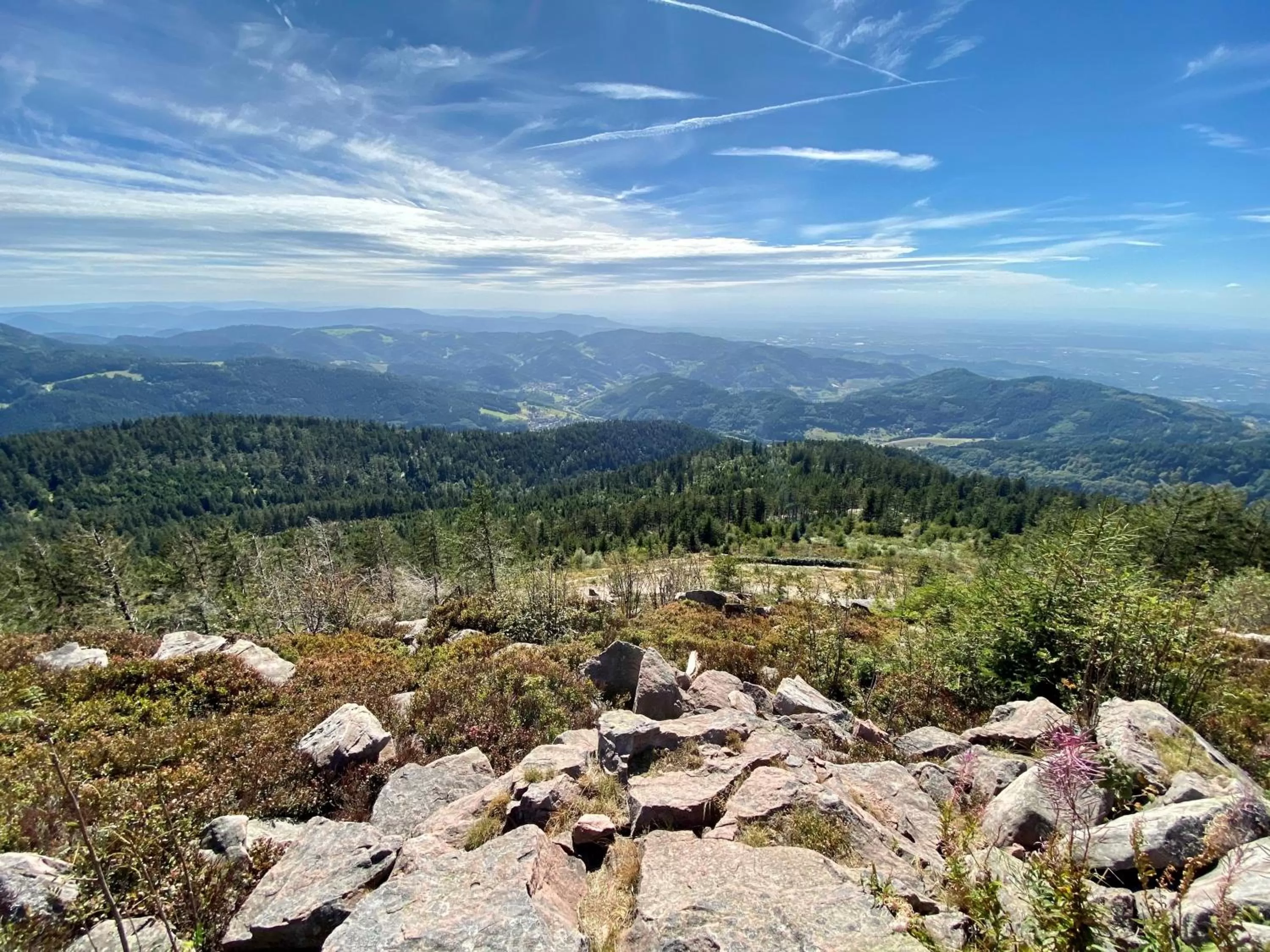 Natural landscape in RelaxHotel Tannenhof