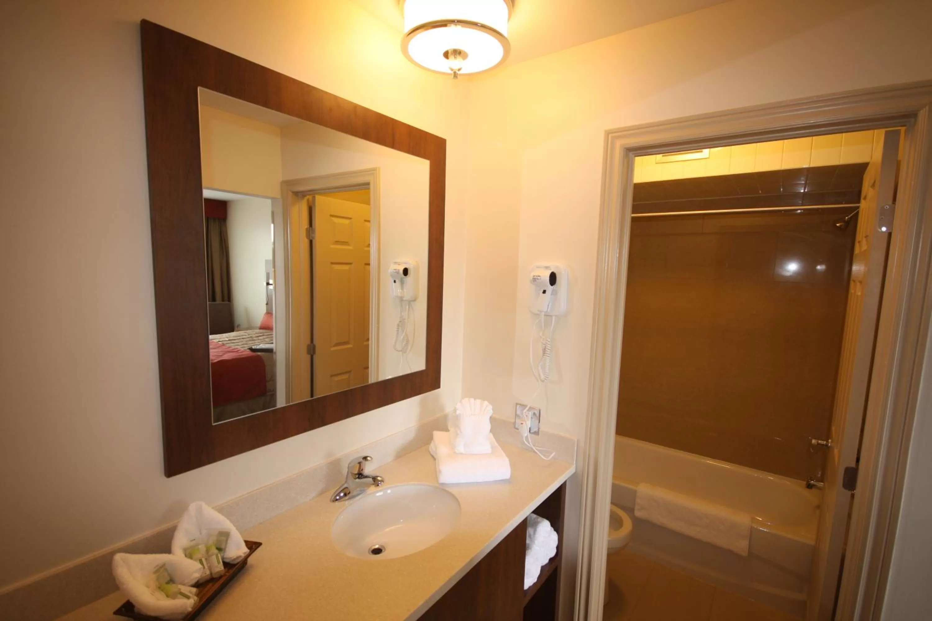 Bathroom in Motel Adam