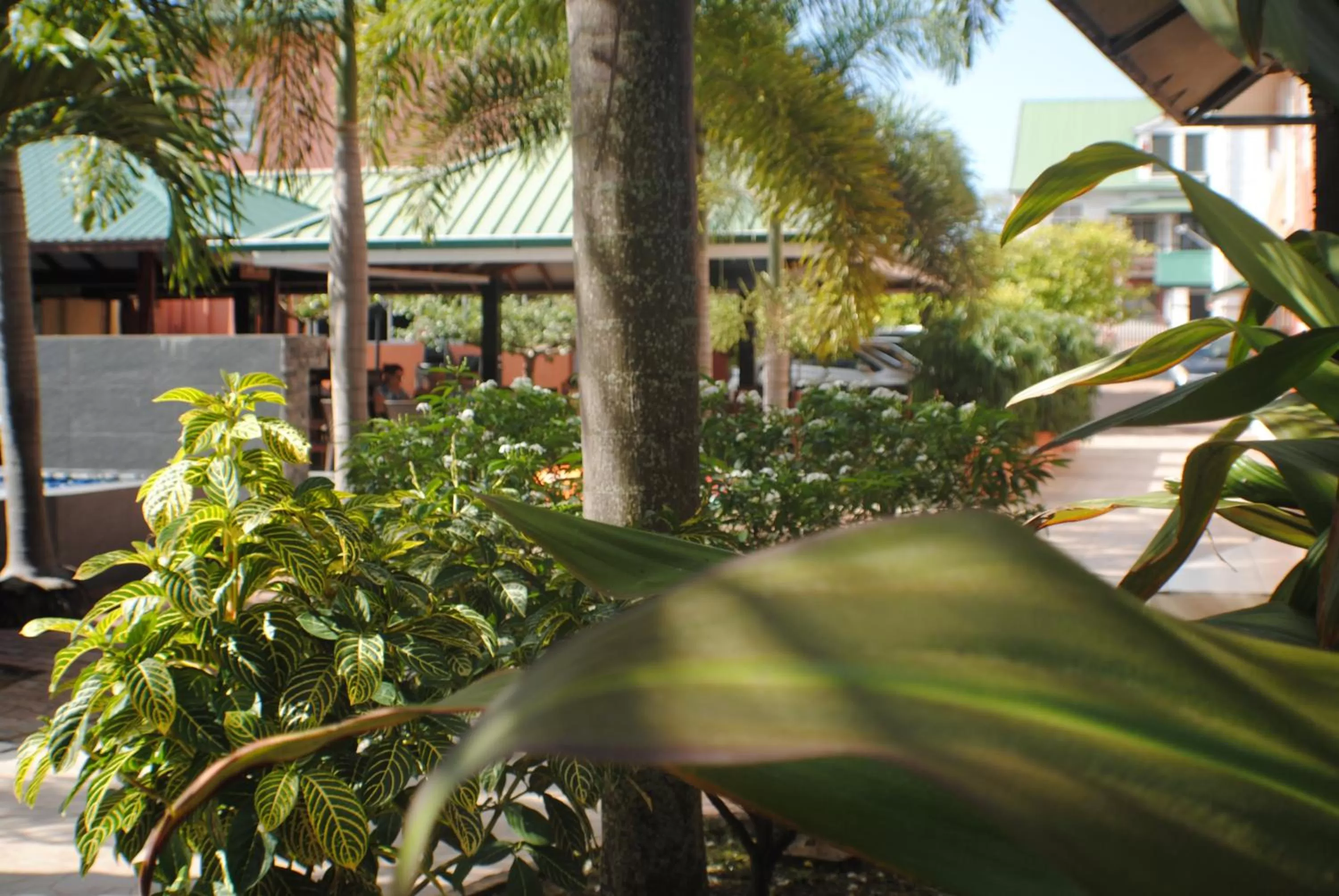 Garden in Joah Inn Appartementen