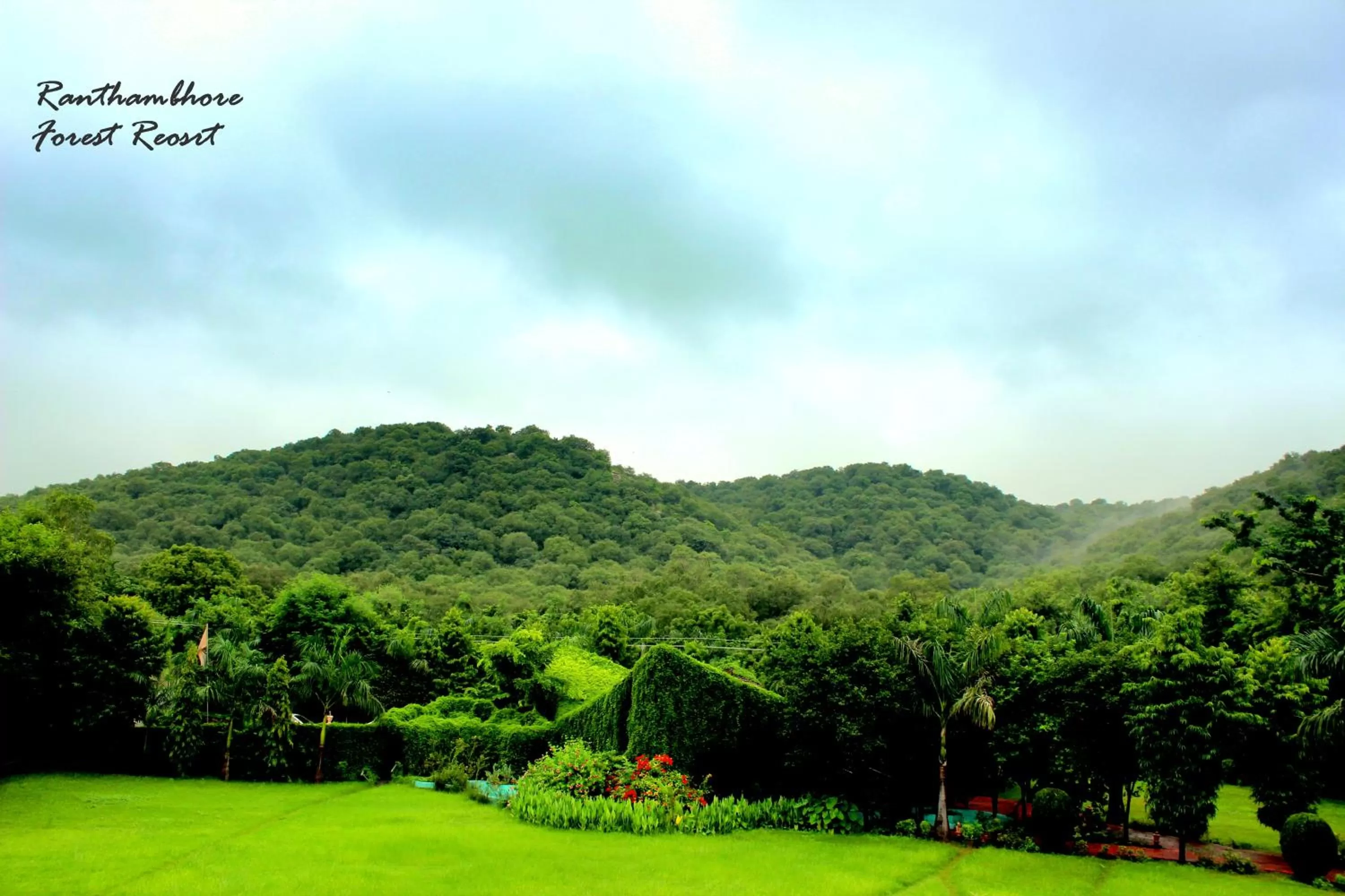 Garden view in The Fern Ranthambore Forest Resort Rajasthan