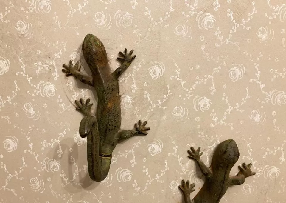 Photo of the whole room in Hotel Lux