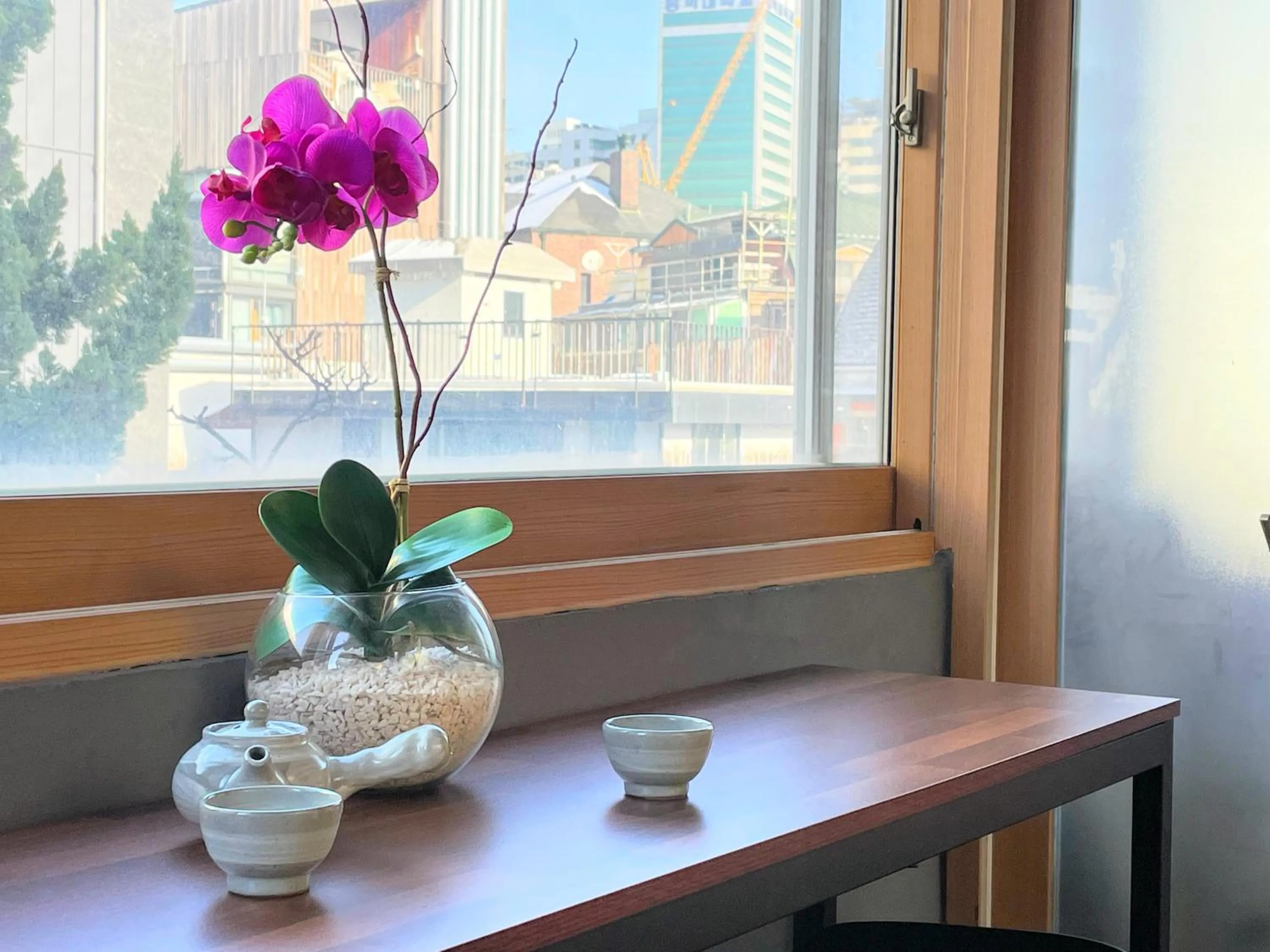 Communal lounge/ TV room in Cocoa Guesthouse