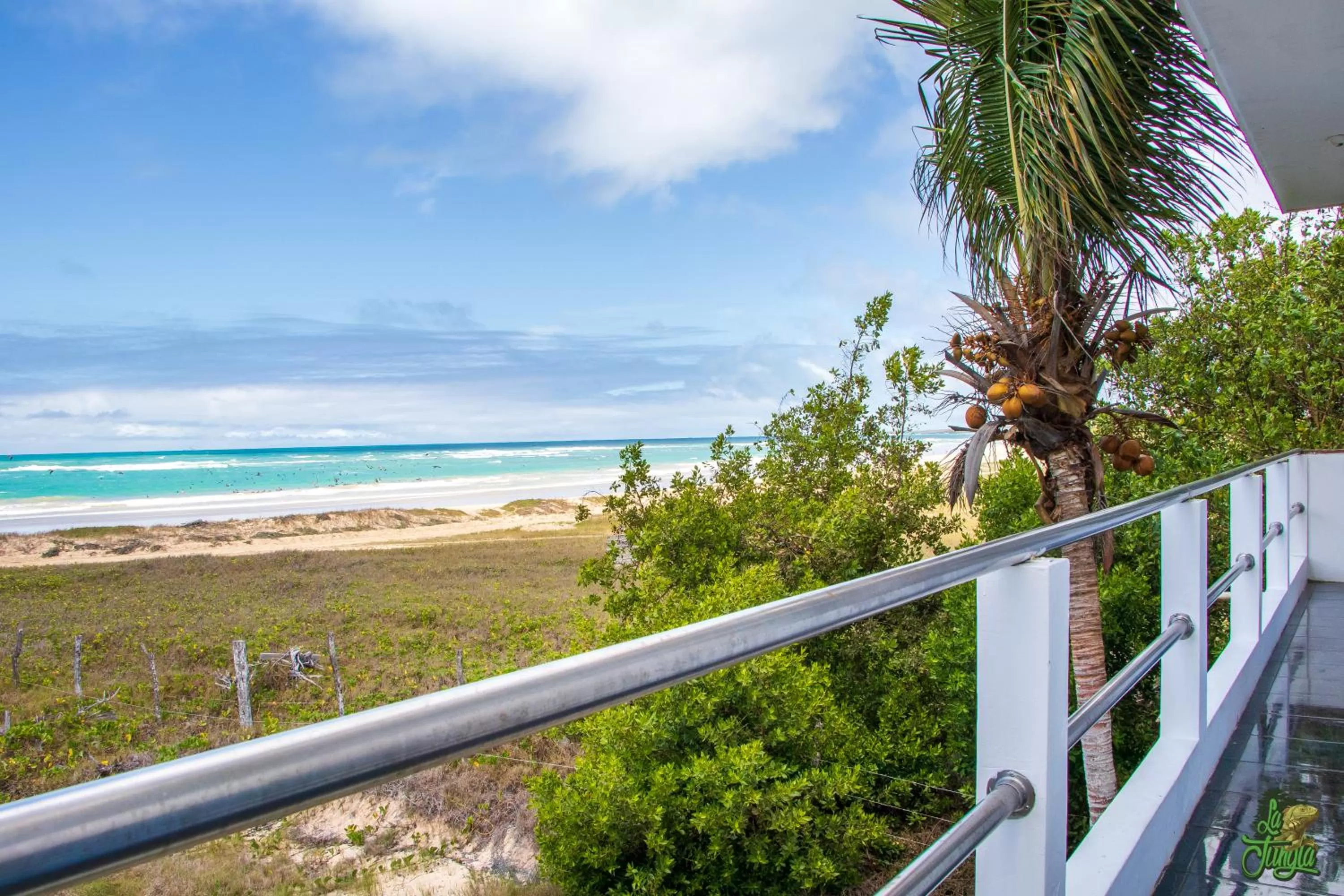 Sea view in Hotel La Jungla