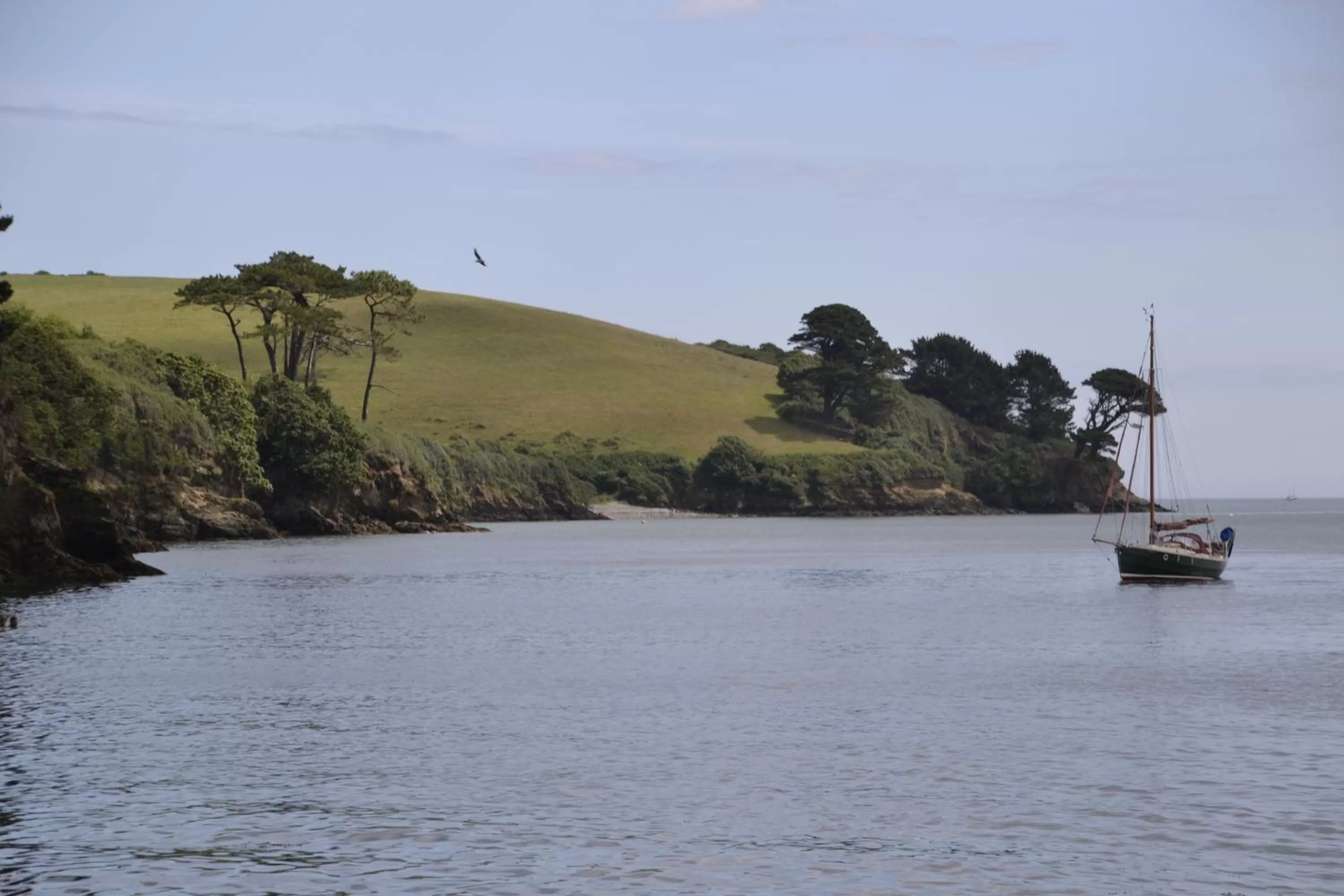 Area and facilities in Fig Tree House