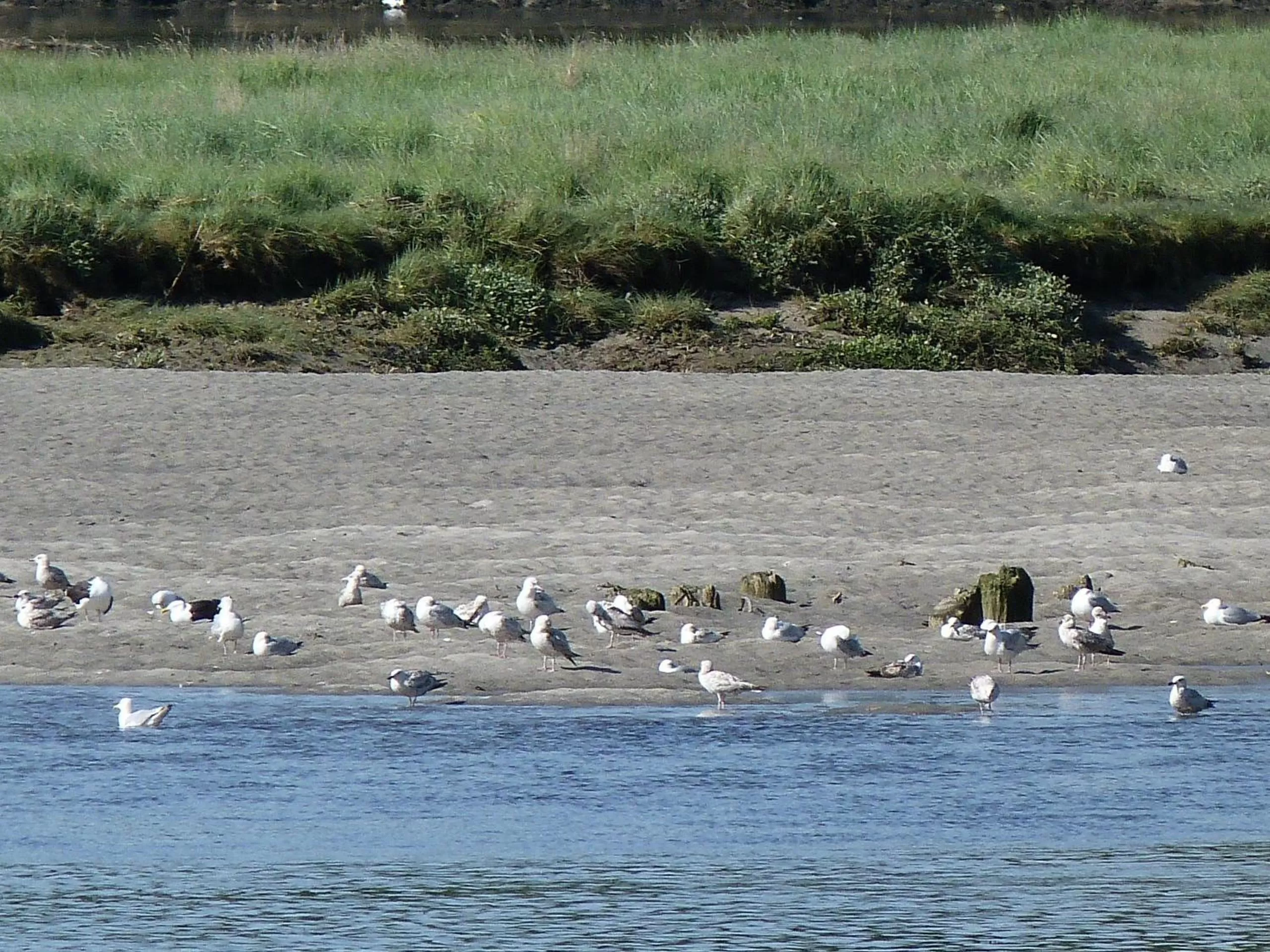 Area and facilities in Les Gites de Kerdurod