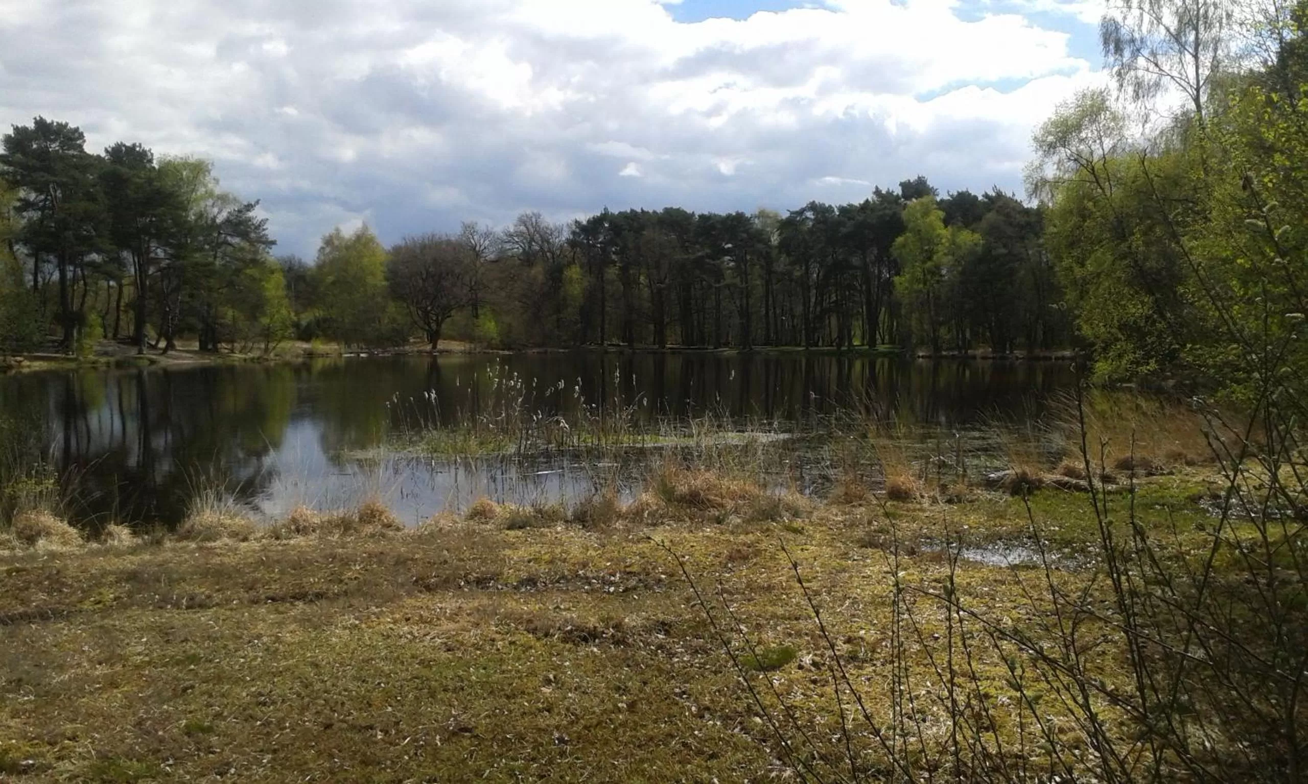 Neighbourhood in B&B De Ark