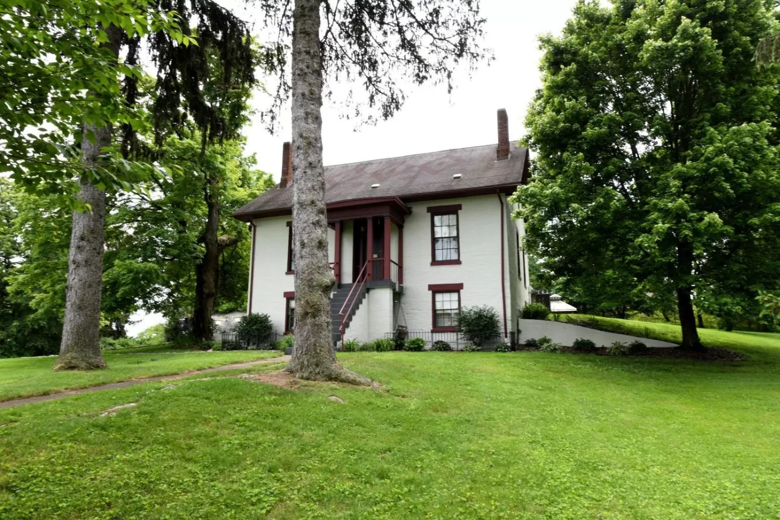 The Pines of Dresden