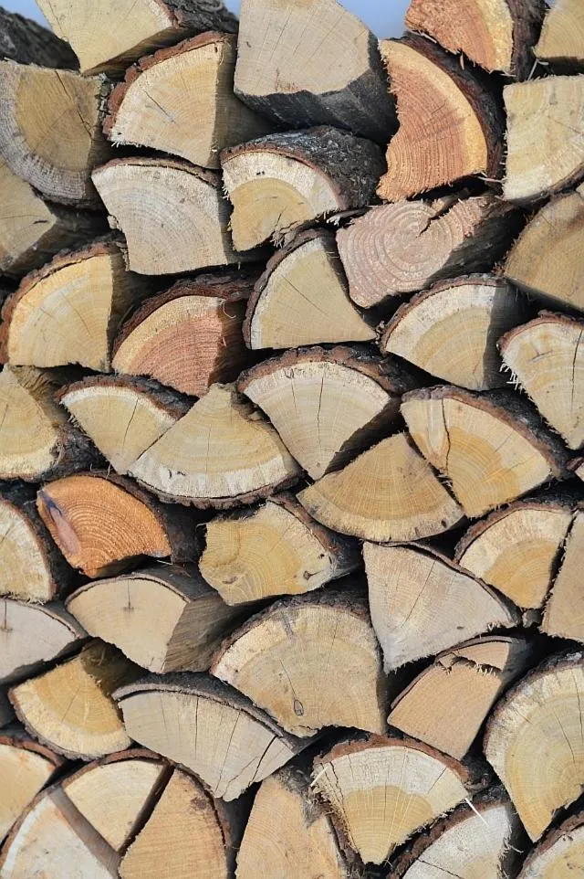 Other in Domicil Leidinger