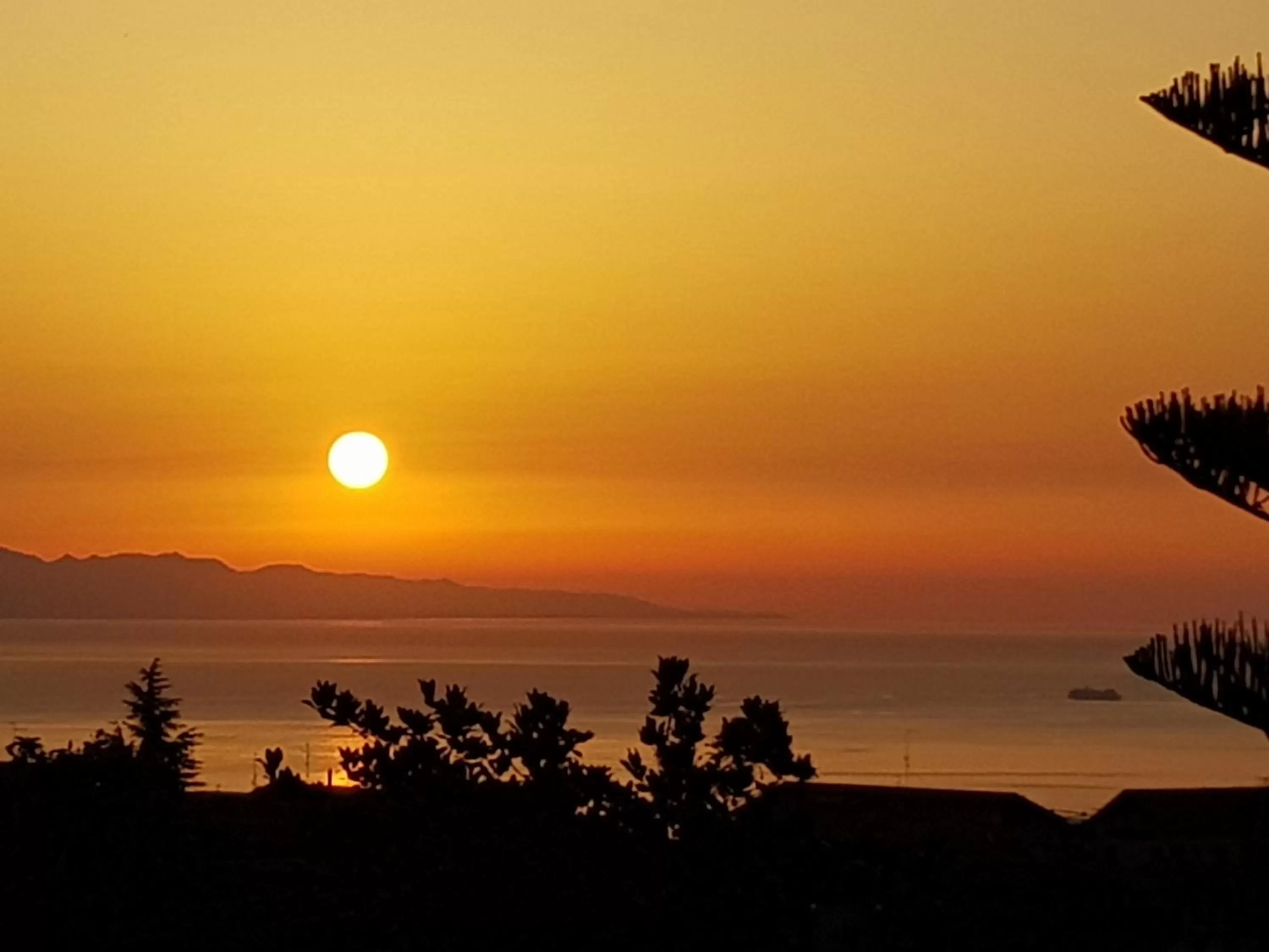 Sea view in Villa Hirschen