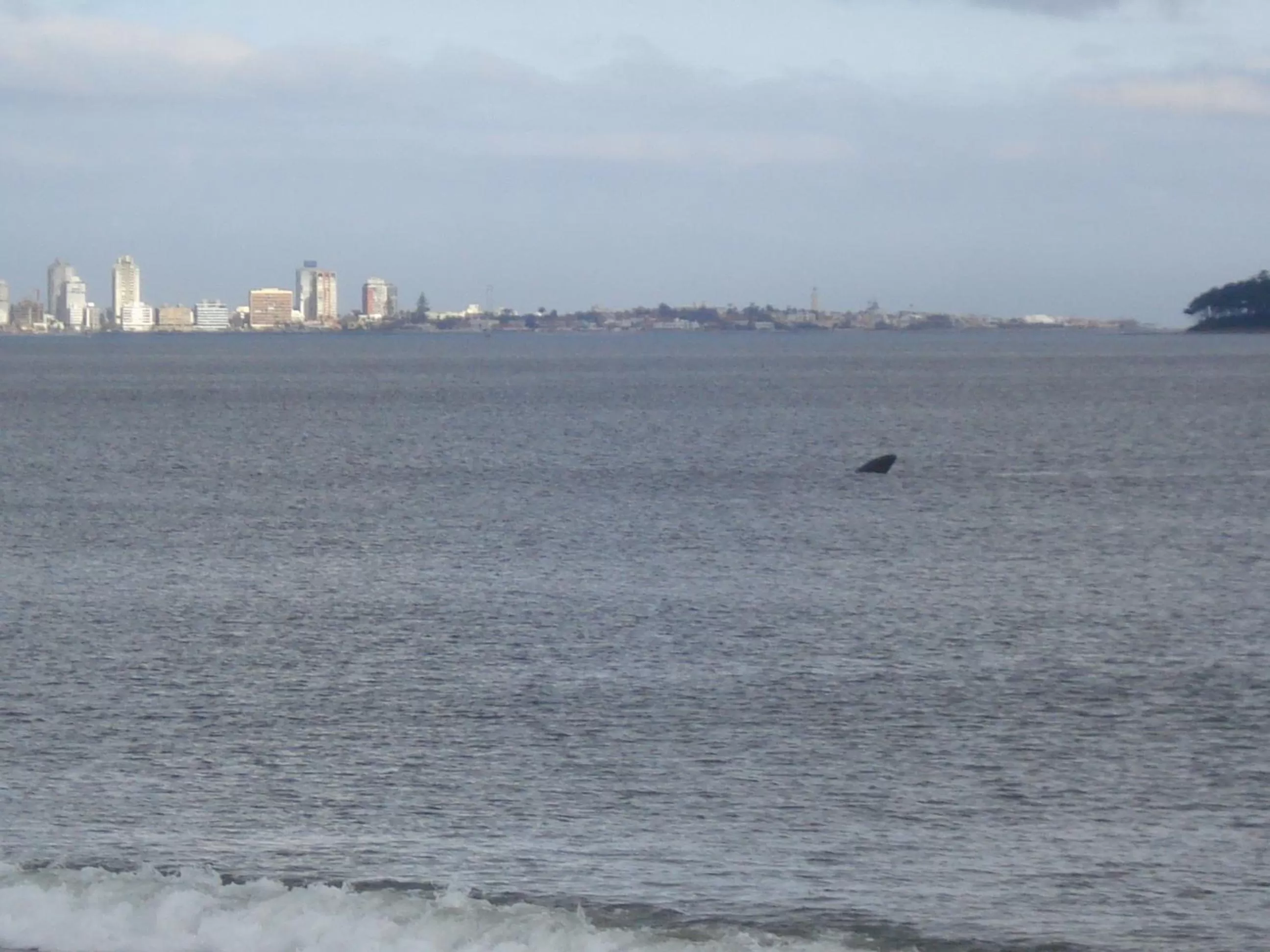 Sea view in BDA Hotel & Spa