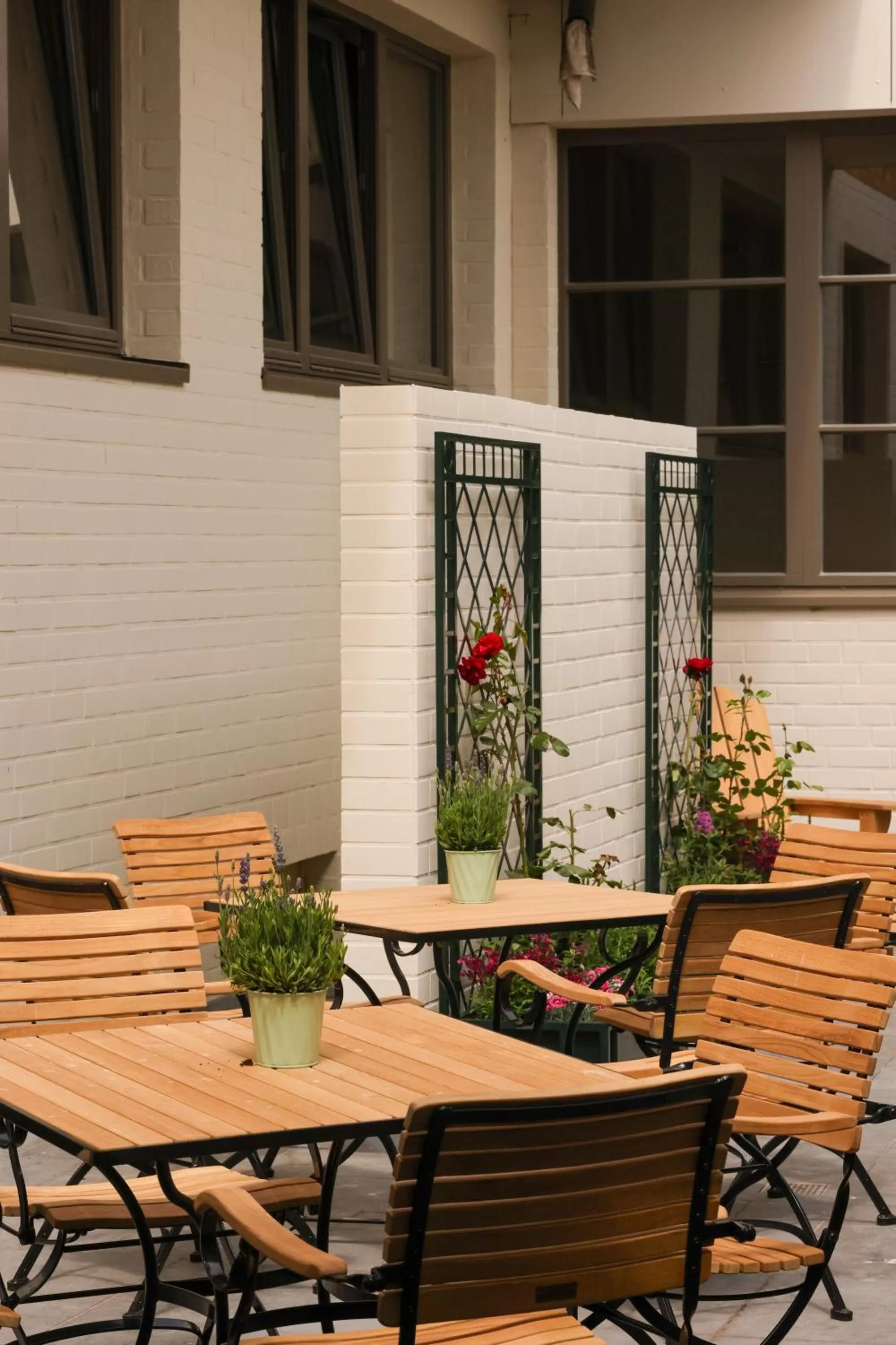 Patio in Mimosa Hotel