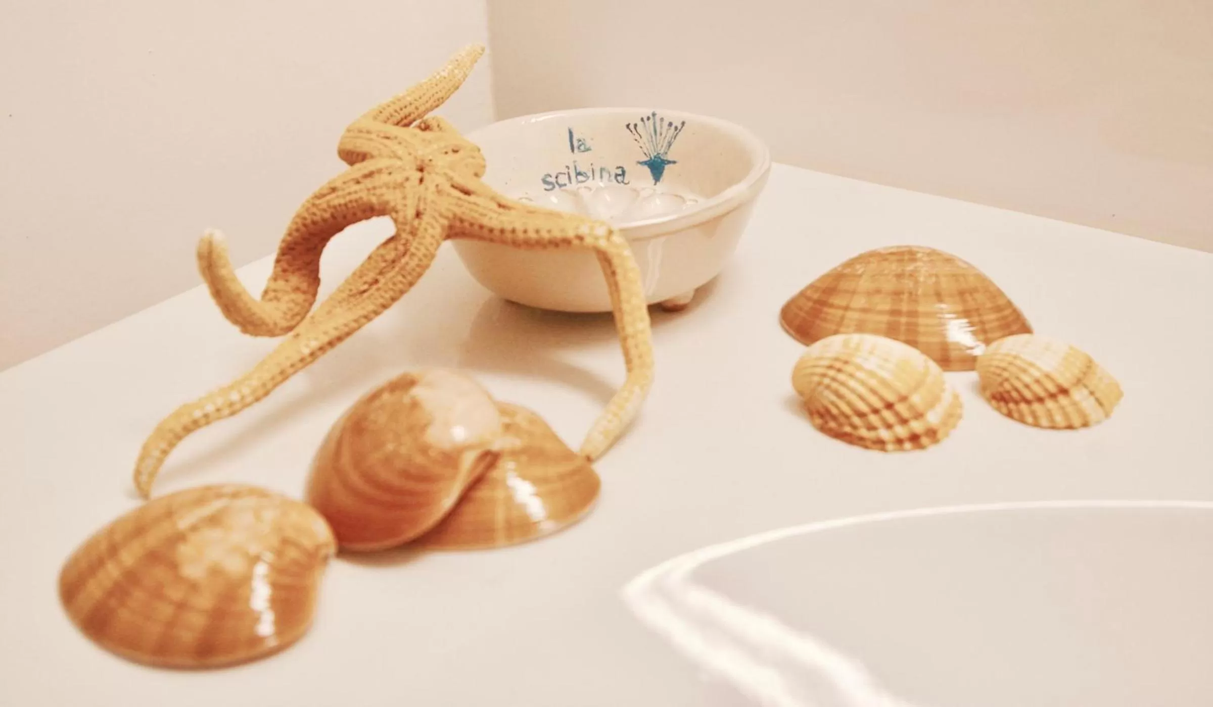 Bathroom in La Scibina