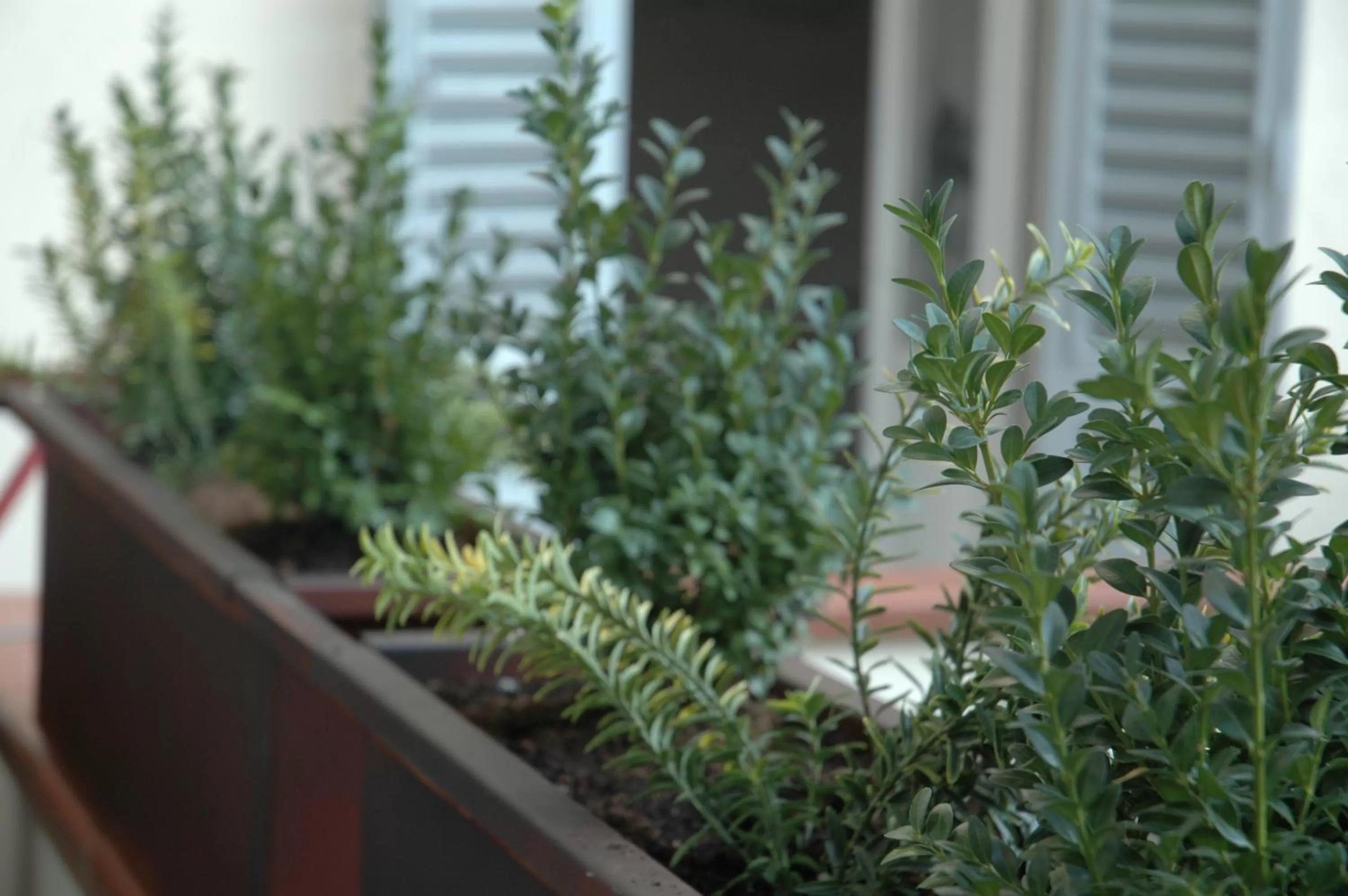 Property building in Ghibellino B&B