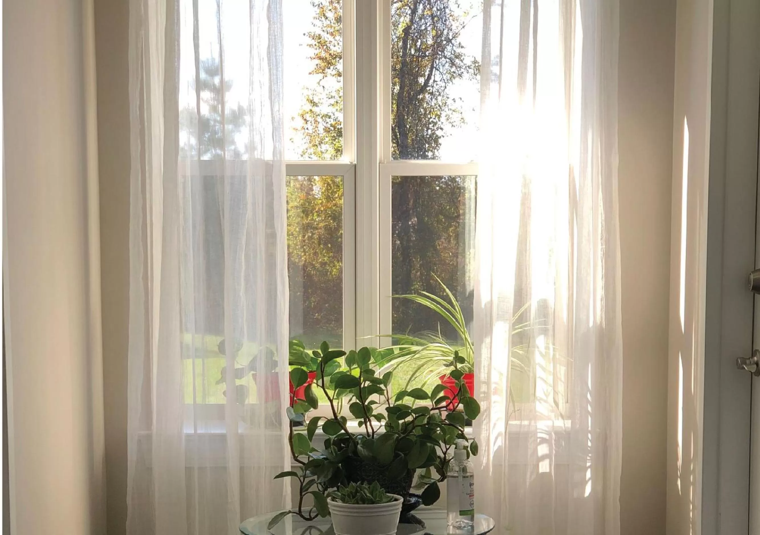 Garden view in Brinton Suites