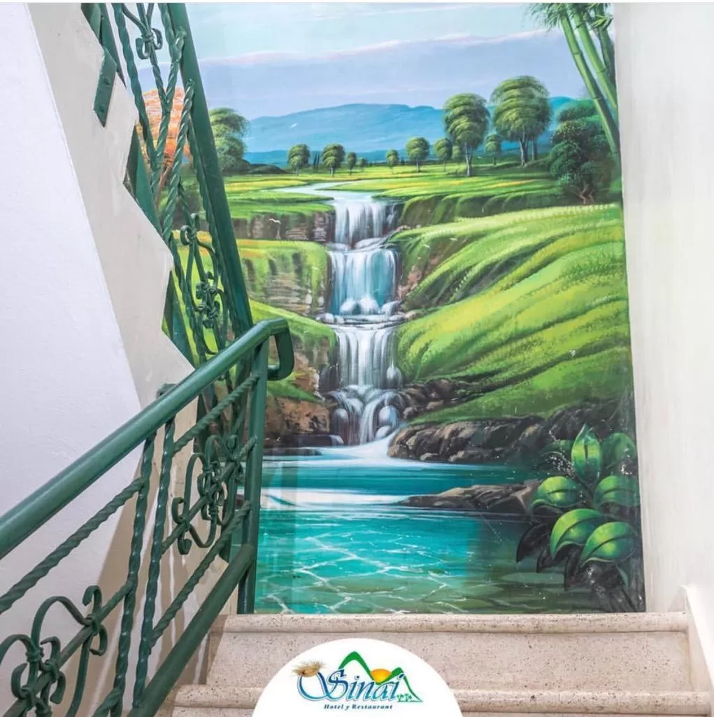 Balcony/Terrace in Hotel Sinai