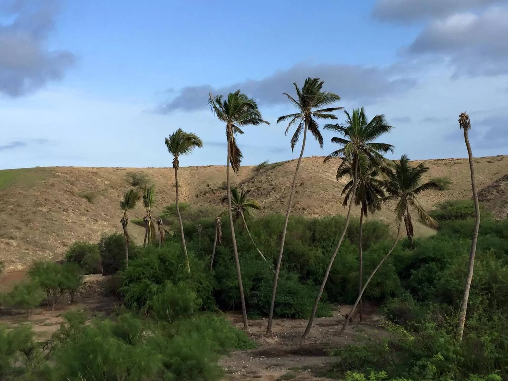 Hiking in Pensaò Big Game Maio