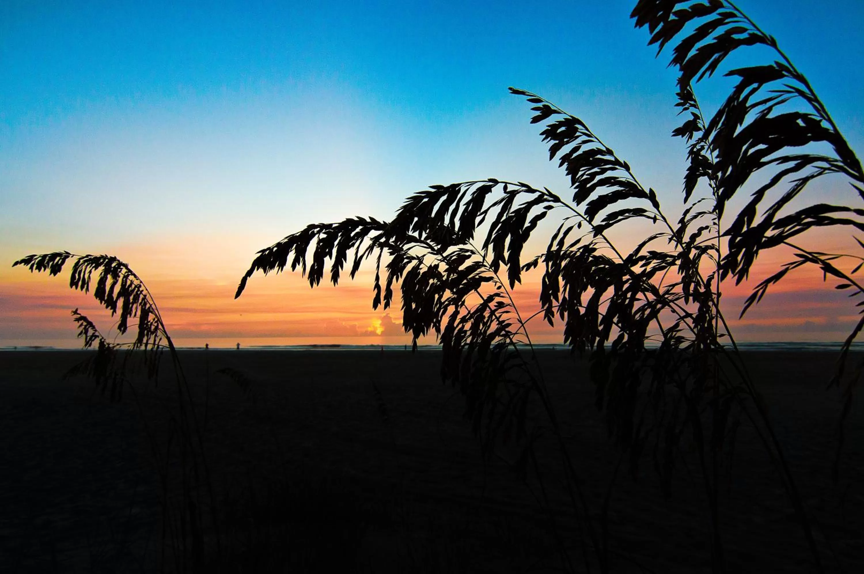Sea view in Guy Harvey Resort on Saint Augustine Beach