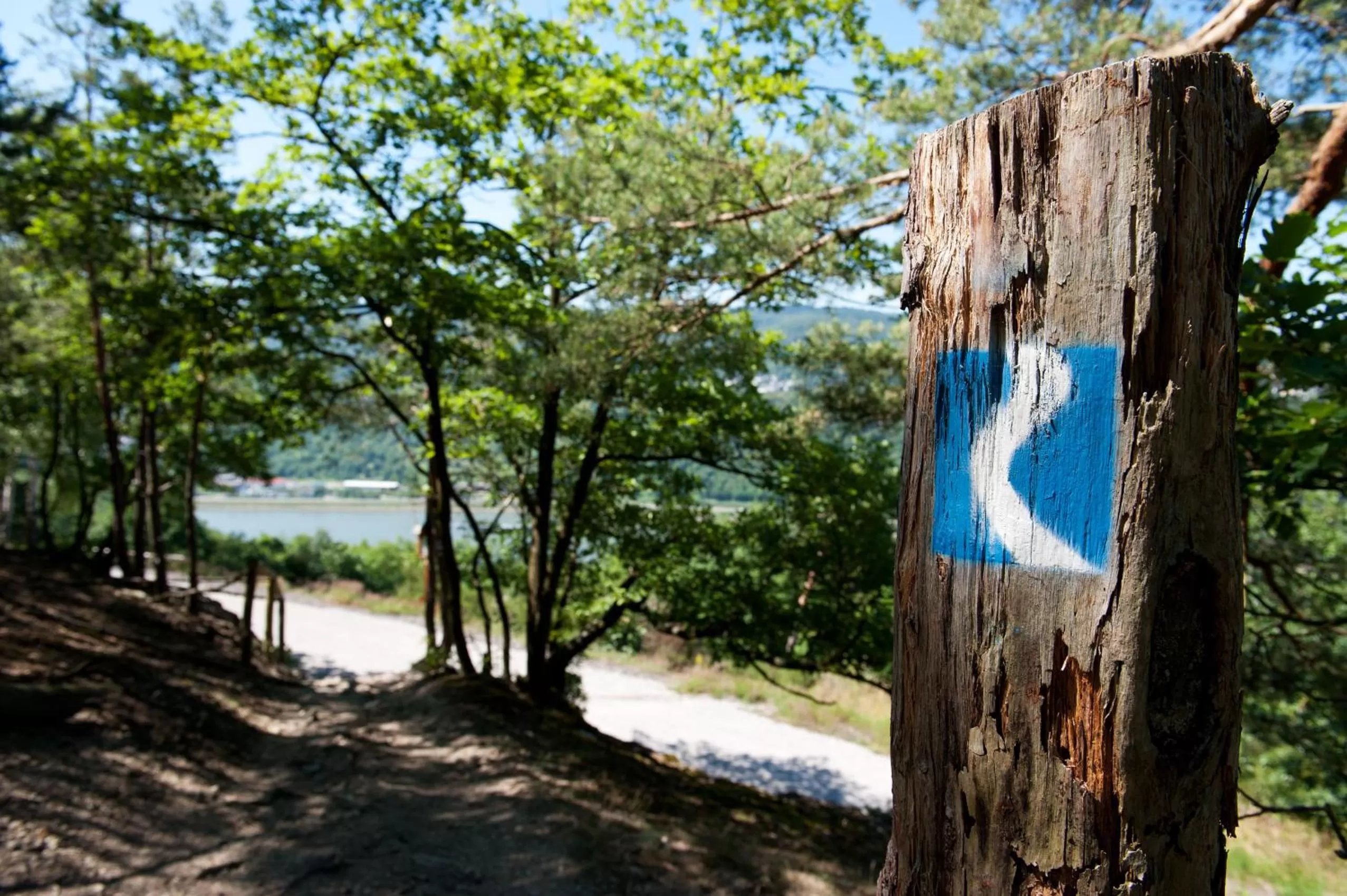 Area and facilities in Hotel im Rheintal