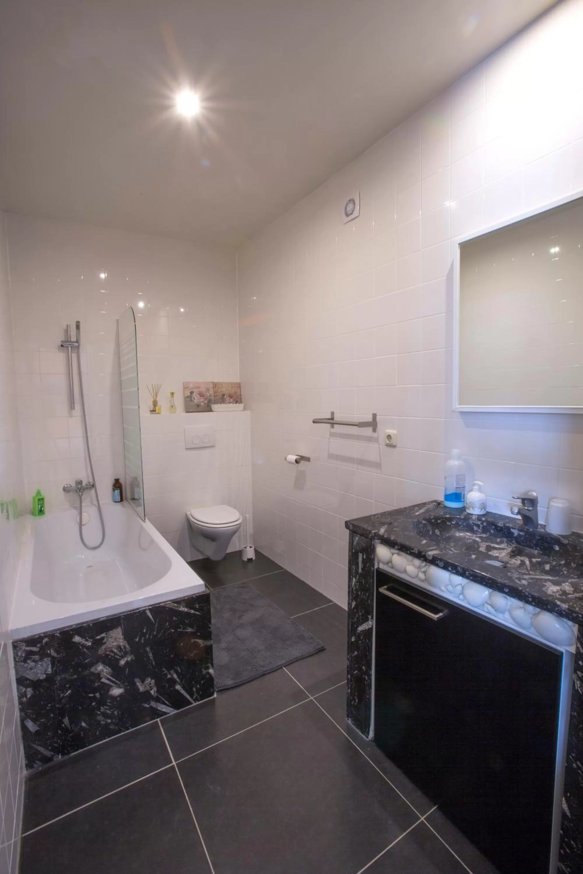 Bathroom in Meschermolen