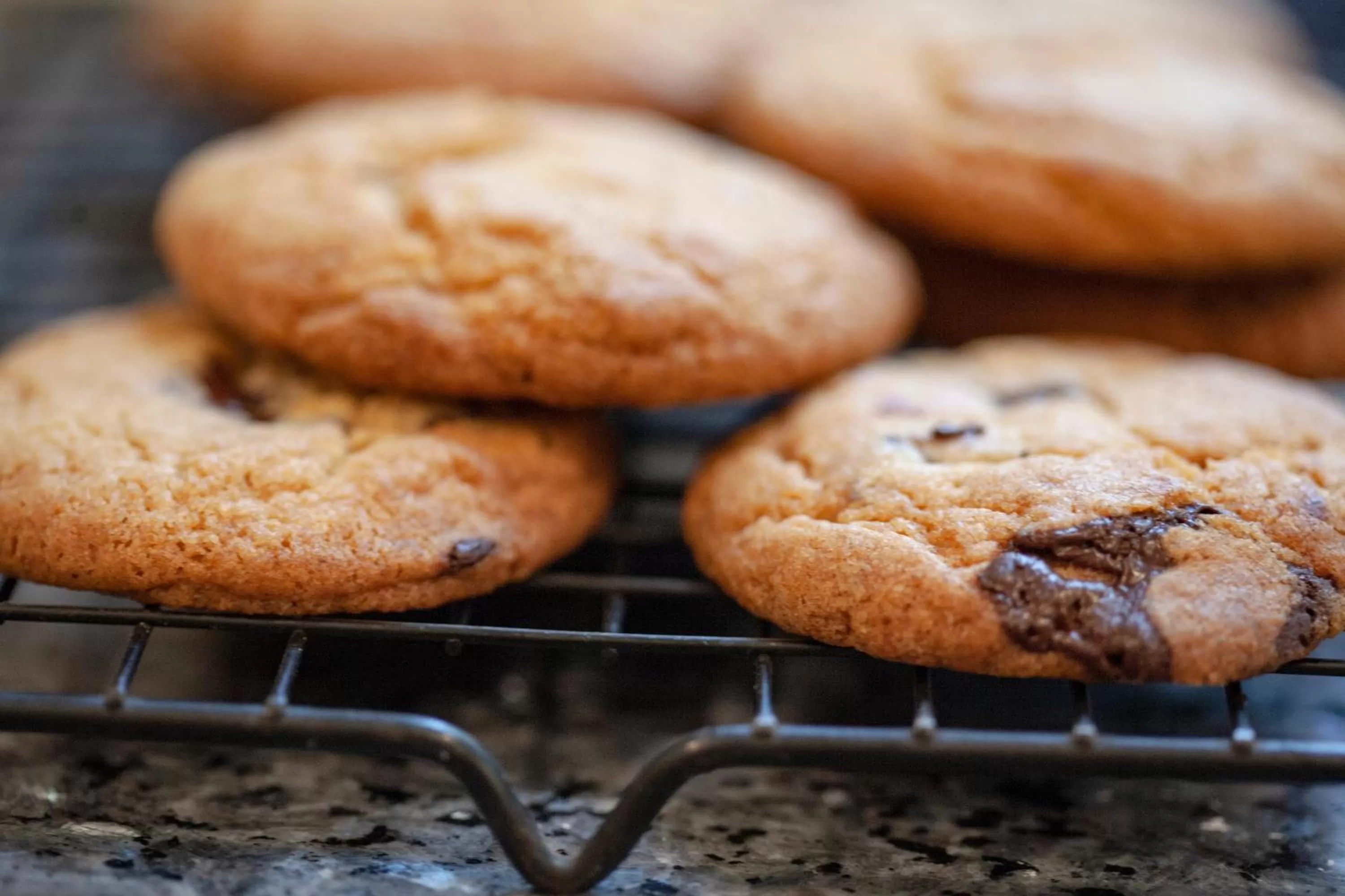 Food and drinks in Wildwood B&B