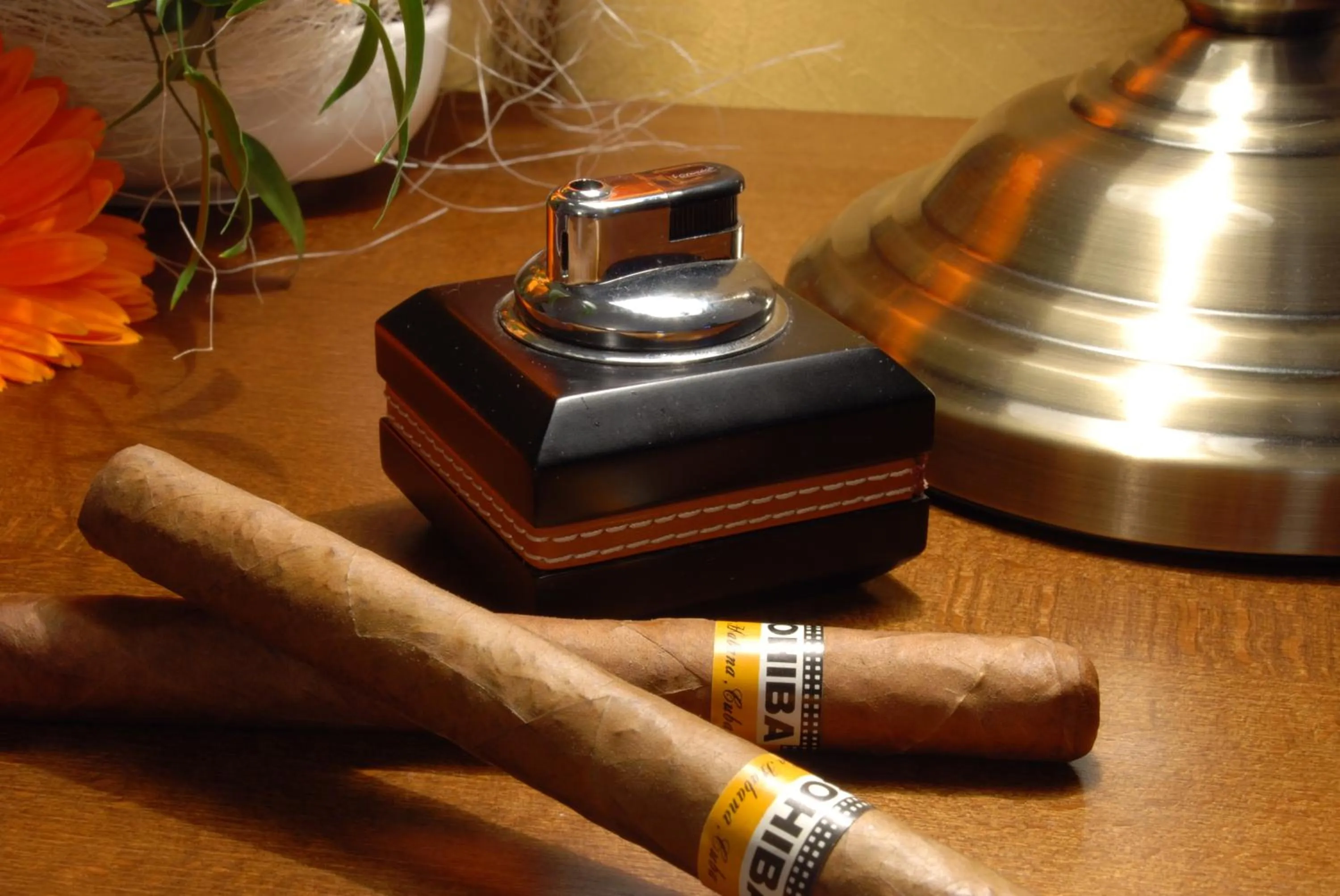 Food and drinks in Brioni Boutique Hotel 4*