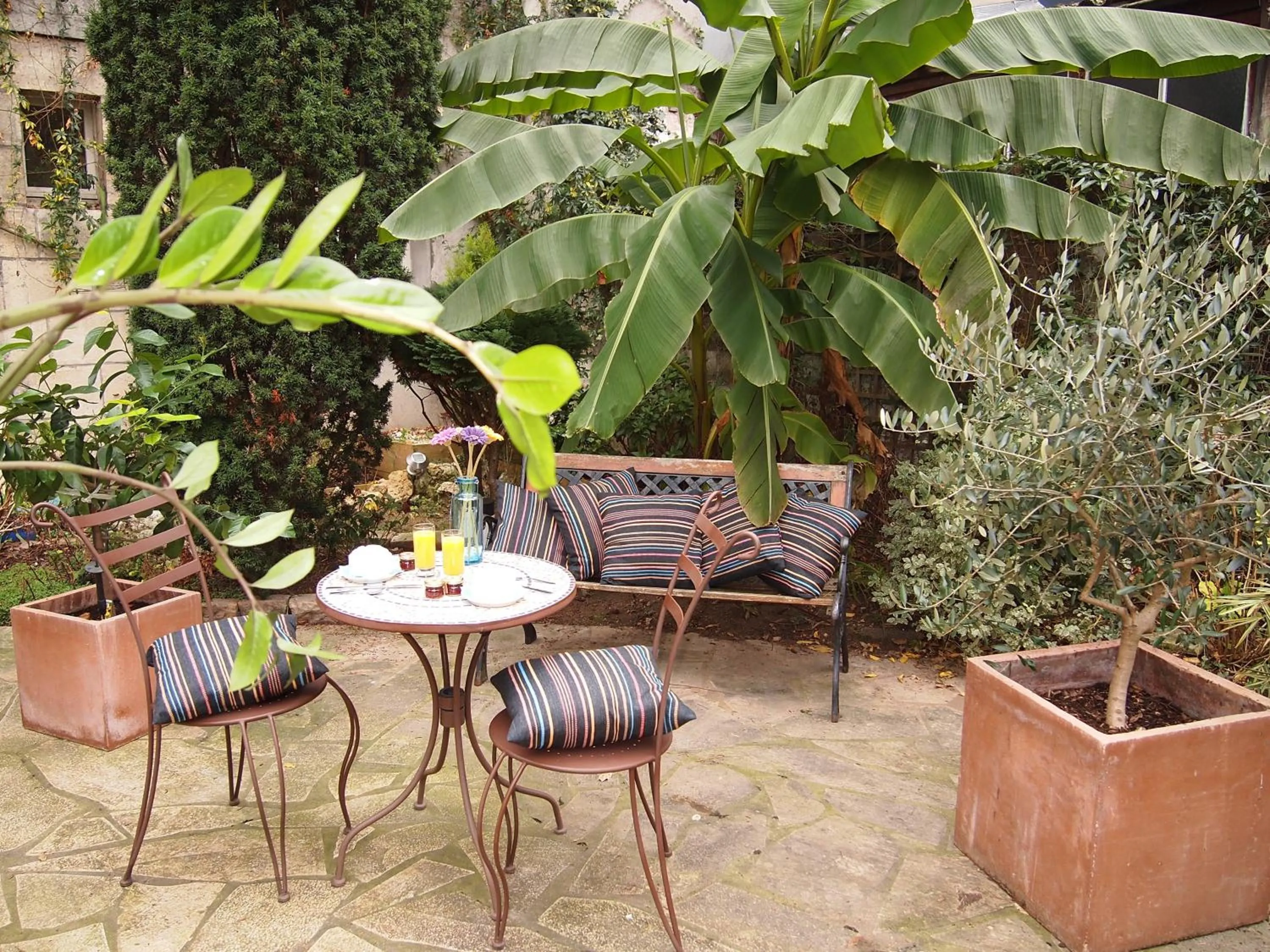 Garden view in Hotel Colbert