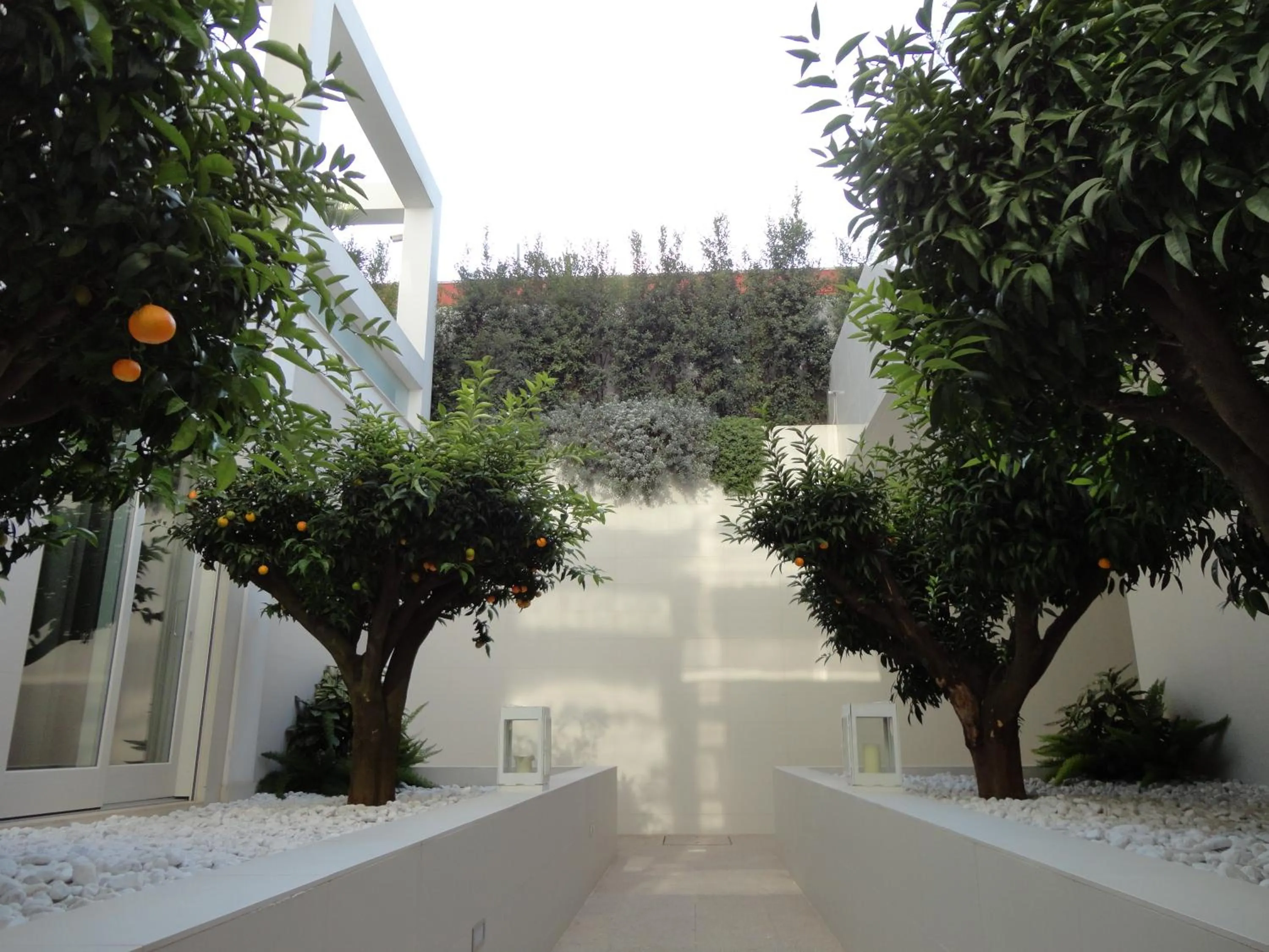 Facade/entrance in Soglow Business Class Hotel