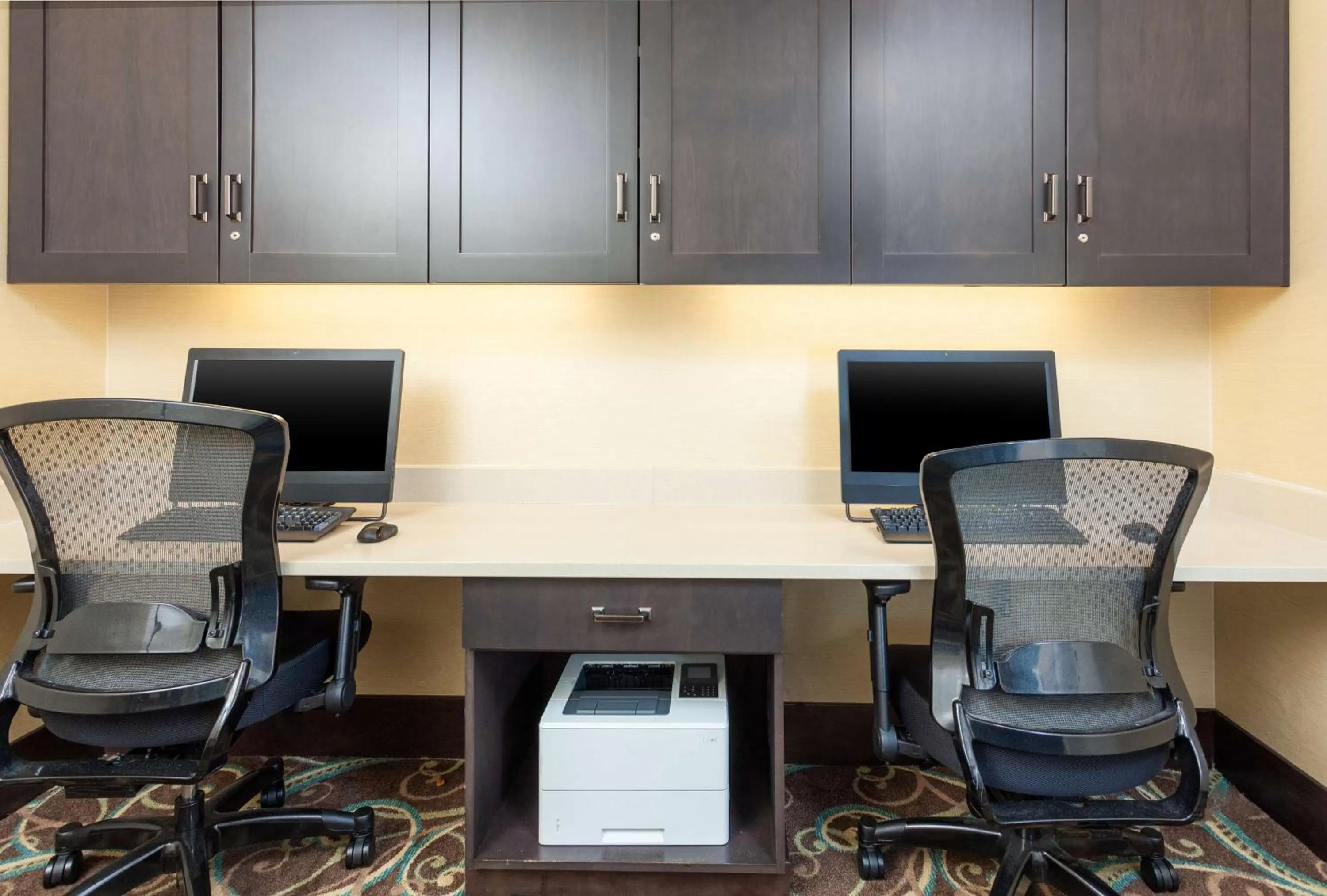Business facilities in Hampton Inn & Suites Niles/Warren, OH