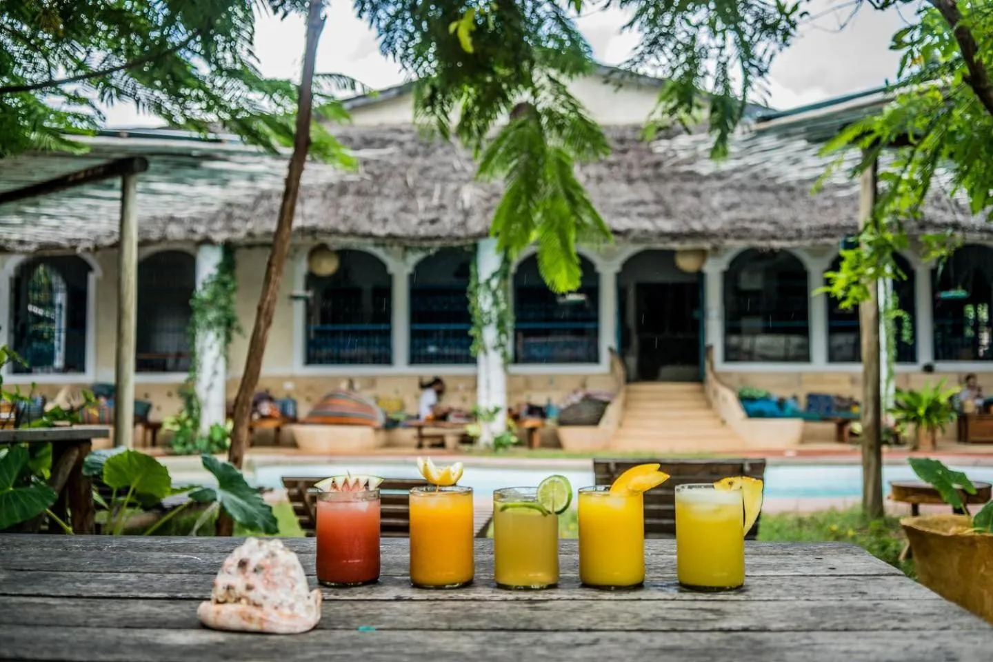 Patio in Distant Relatives Ecolodge & Backpackers