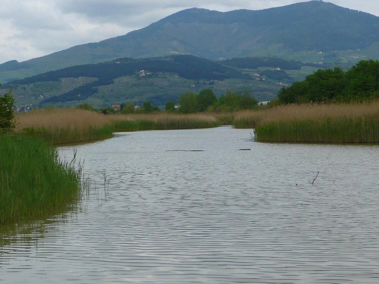Natural landscape in Hotel Indicatore