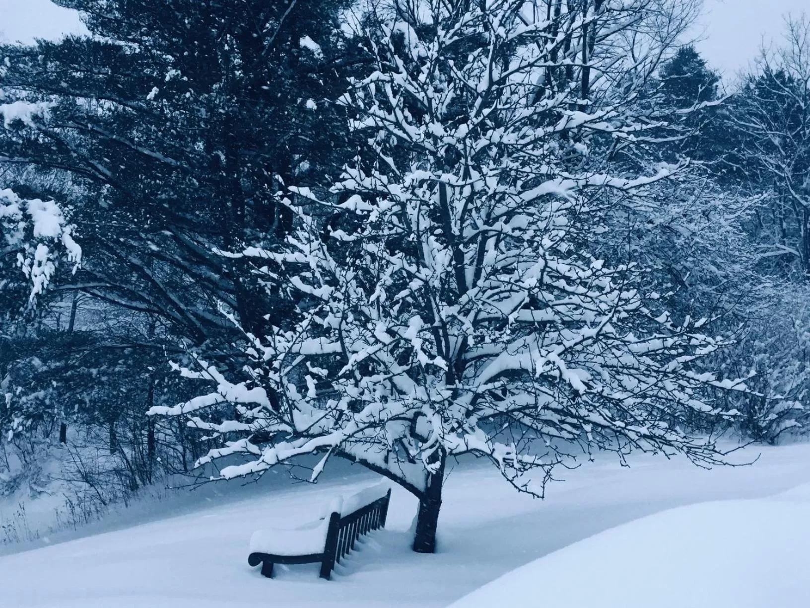 Property building in The Nutmeg Vermont