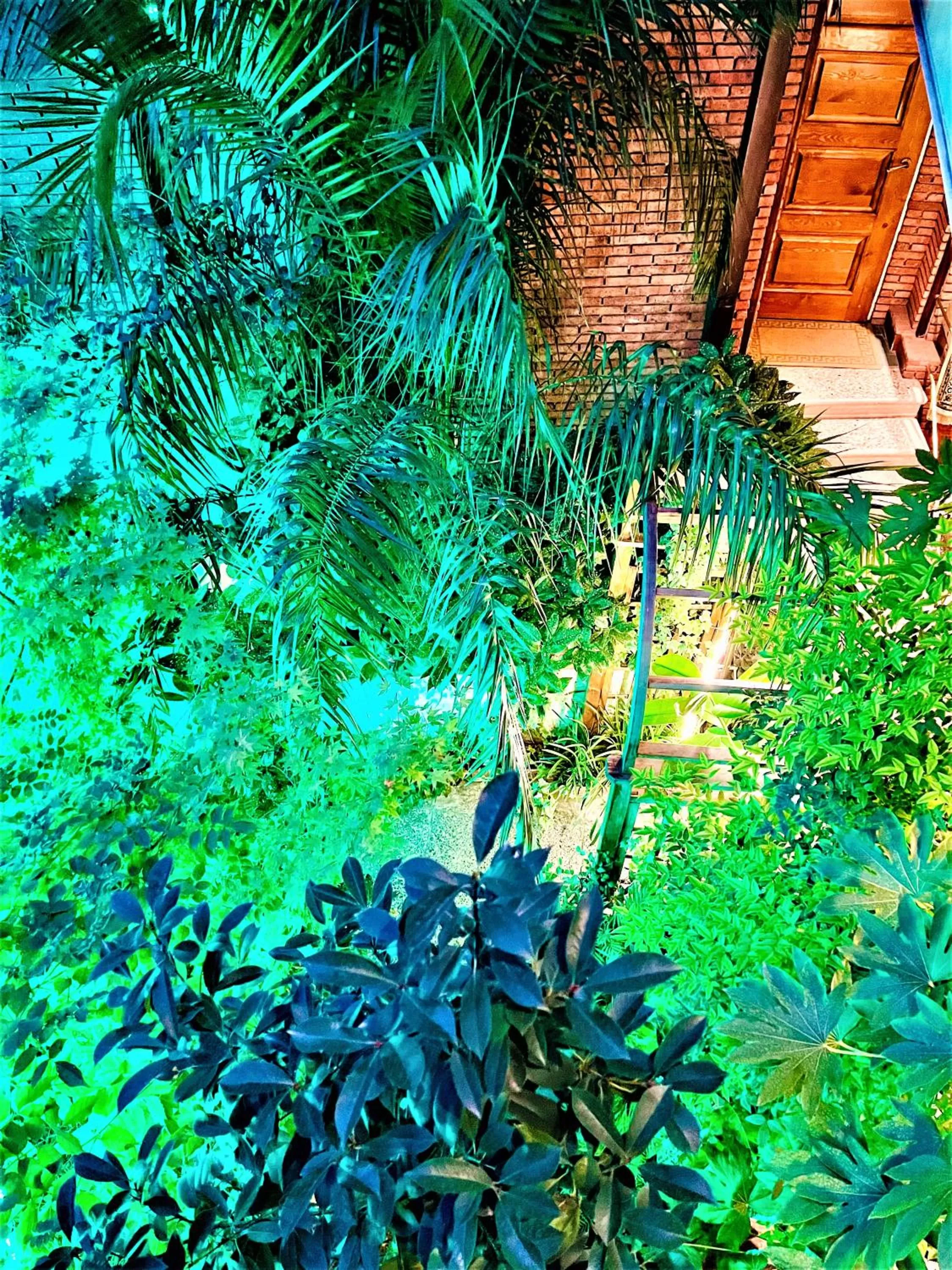 Lobby or reception in Hotel British House