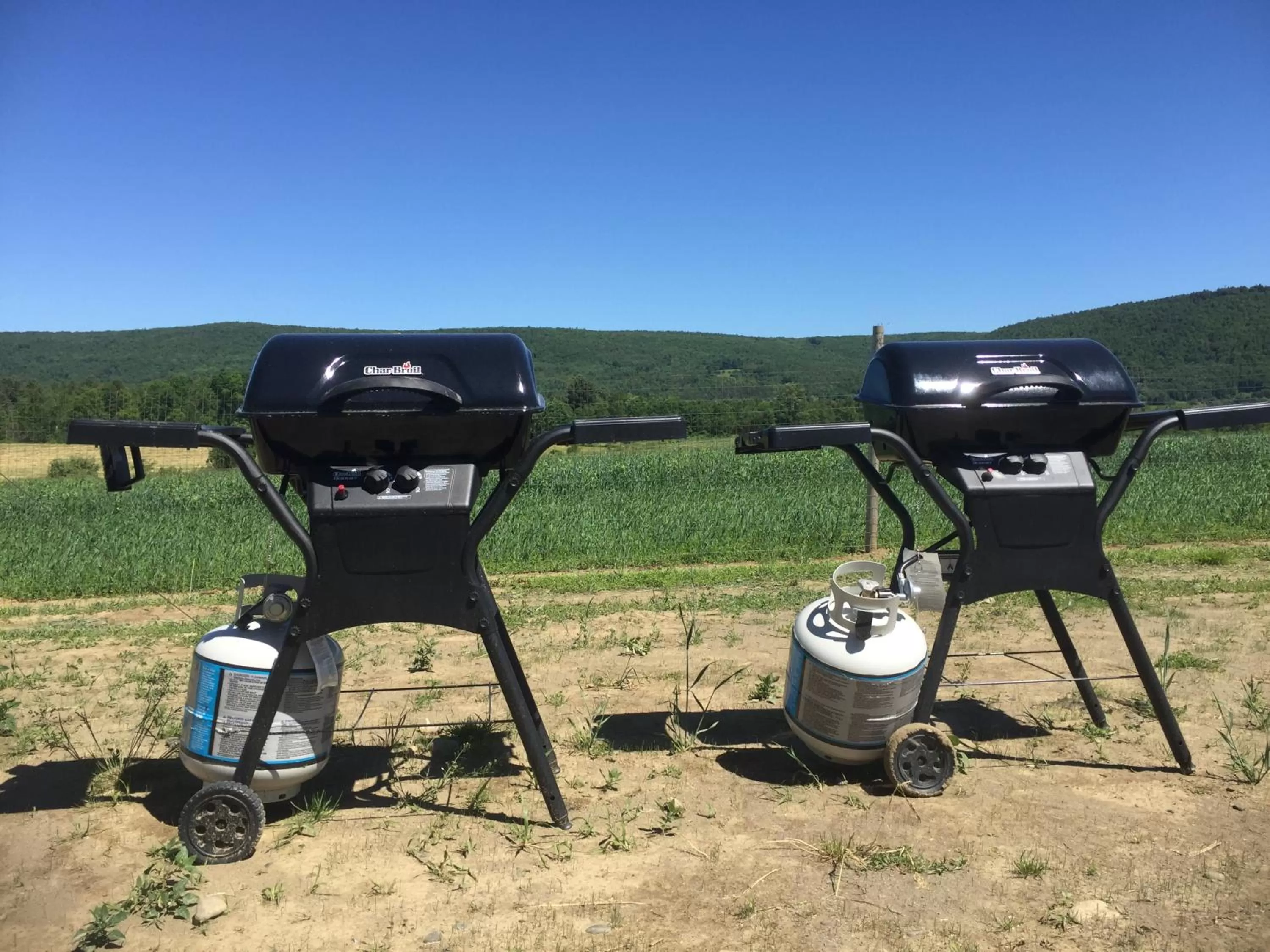 BBQ facilities in Apple Inn and Suites Cooperstown Area