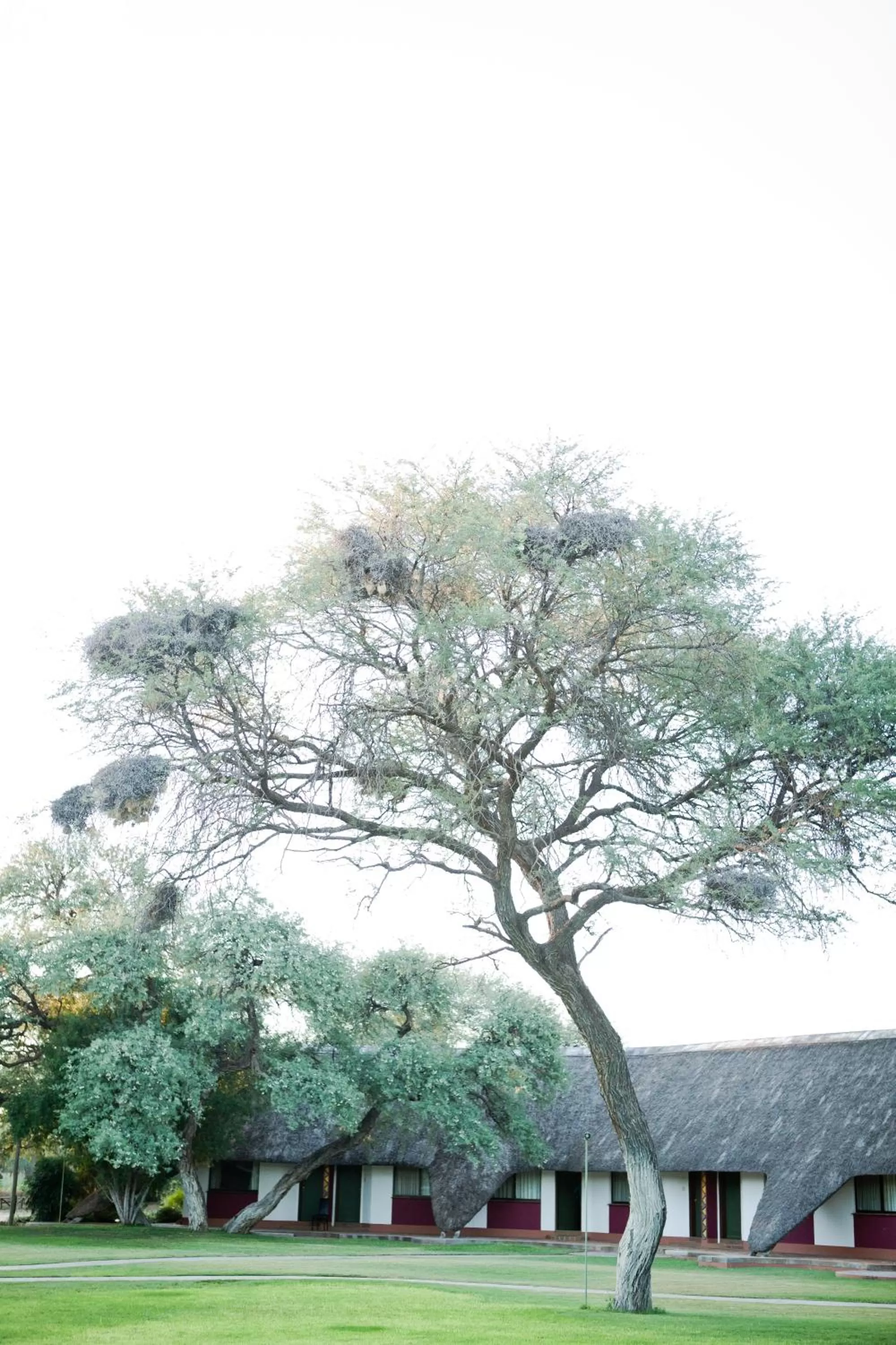 Property building, Winter in Okahandja Country Hotel