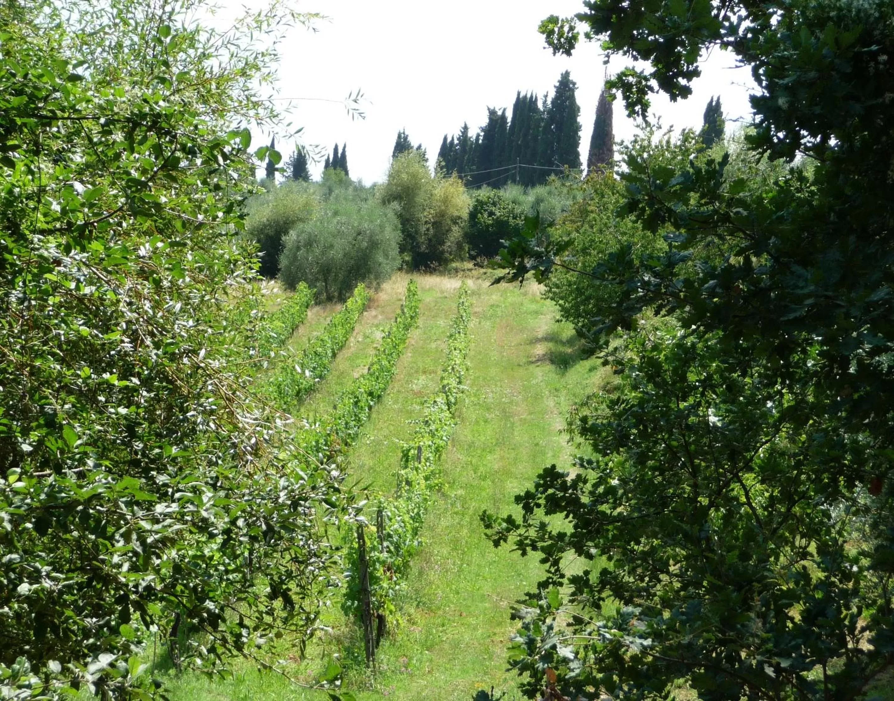 On site in A Casa di Lizzy B&B