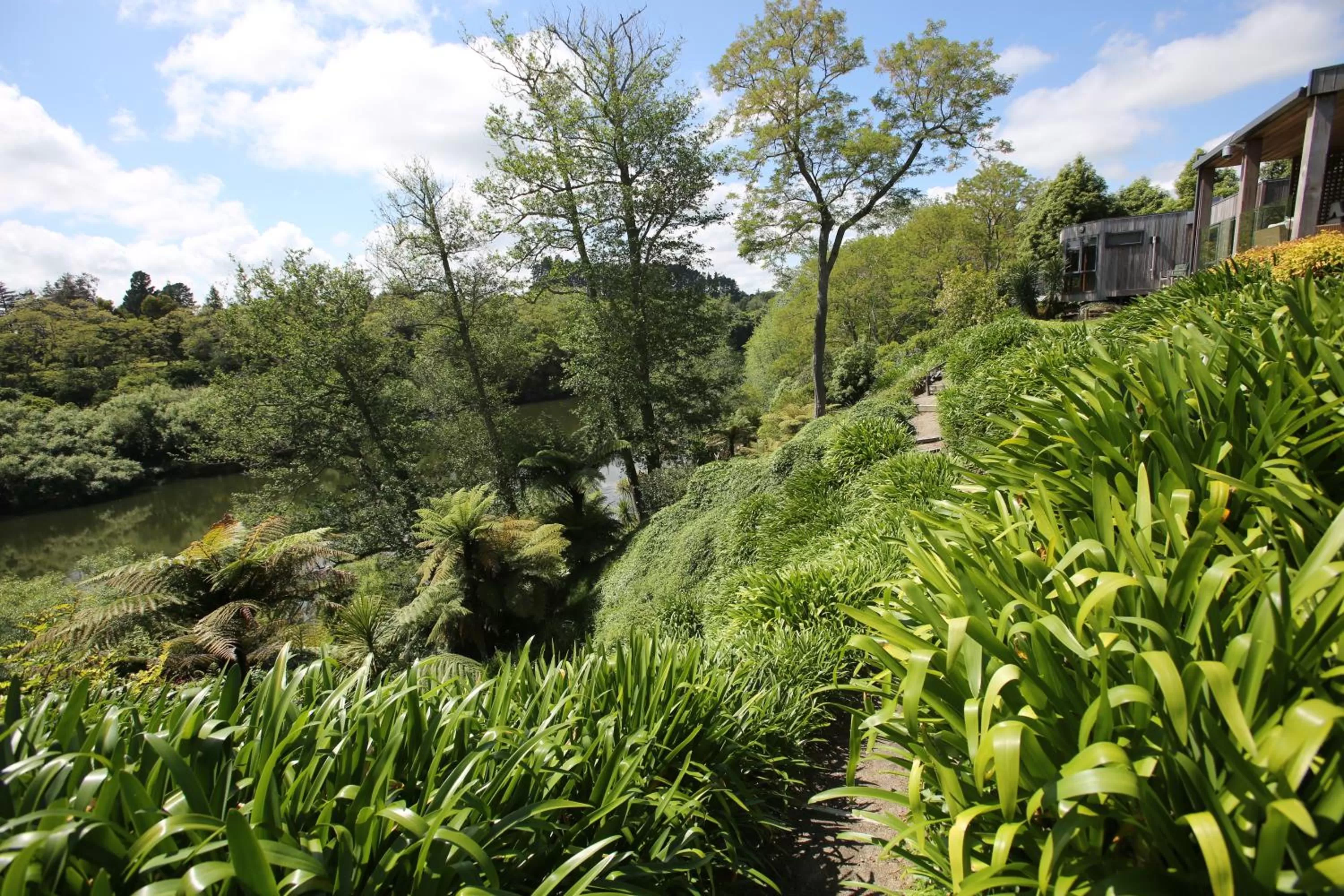 Natural Landscape in On The River