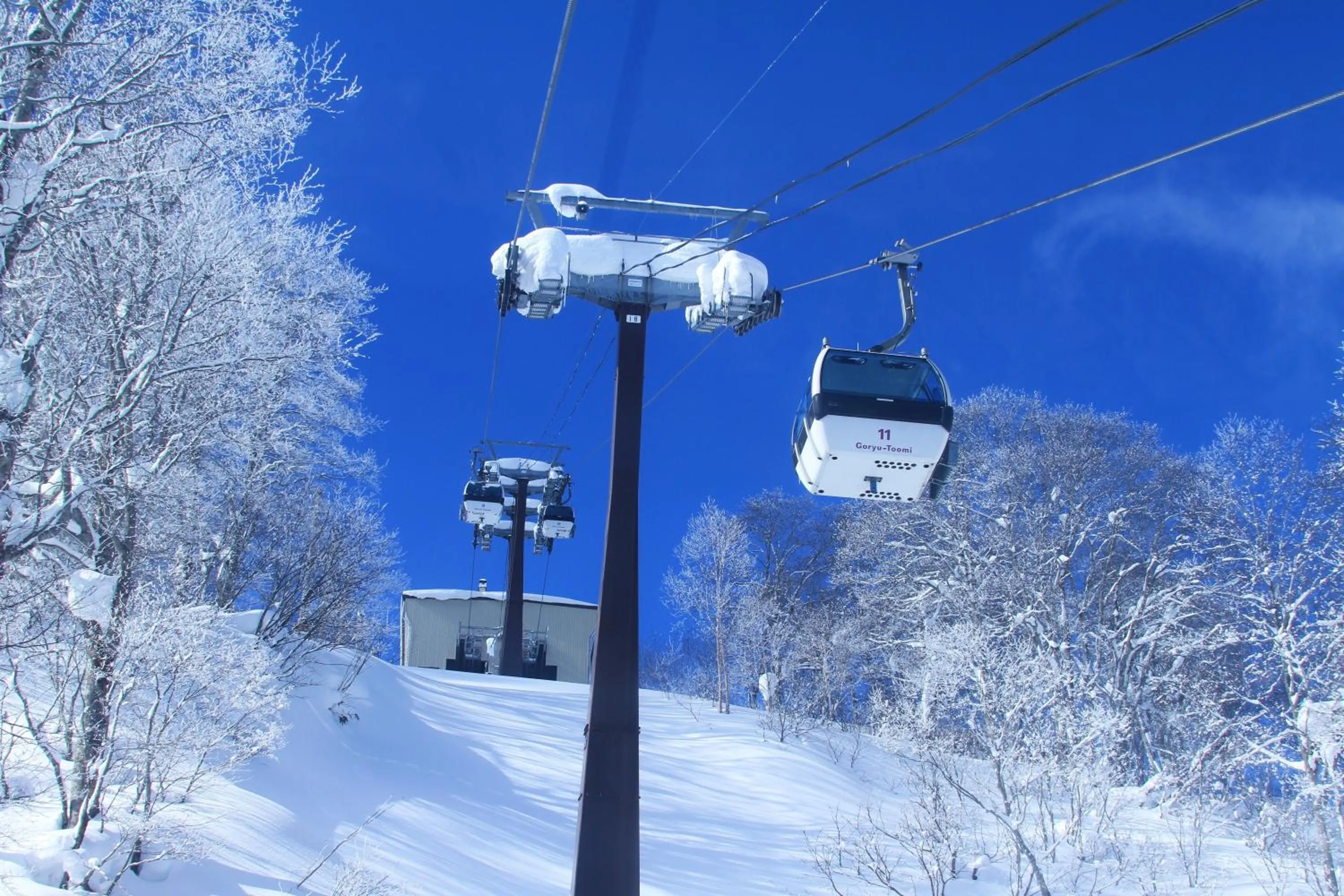 Skiing in Hotel Hakuba
