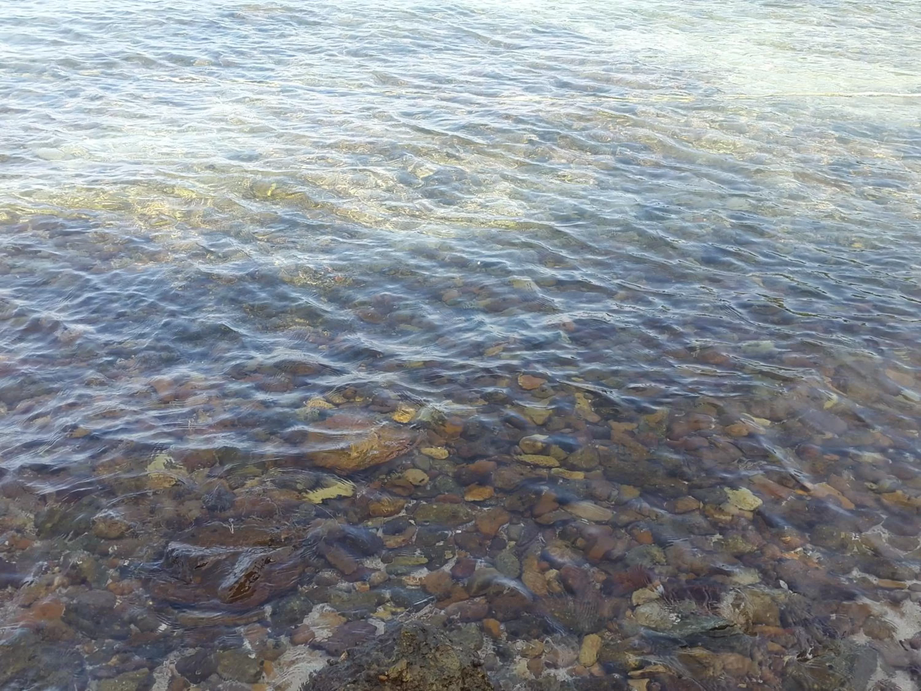 Area and facilities in River Hotel